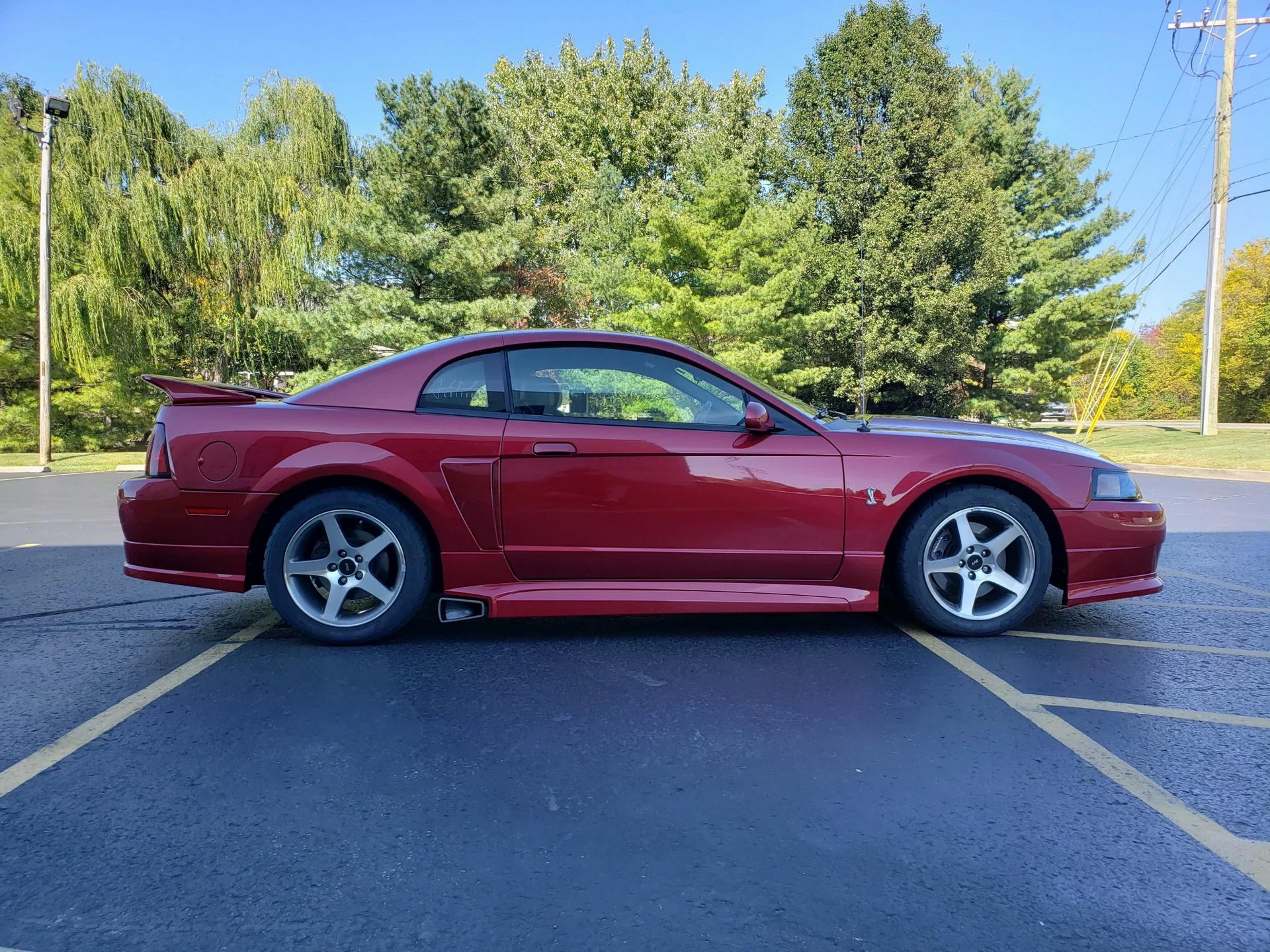 Would You Be Tempted By A Low-Mileage, Roush-Tuned 2003 Ford Mustang SVT Cobra?