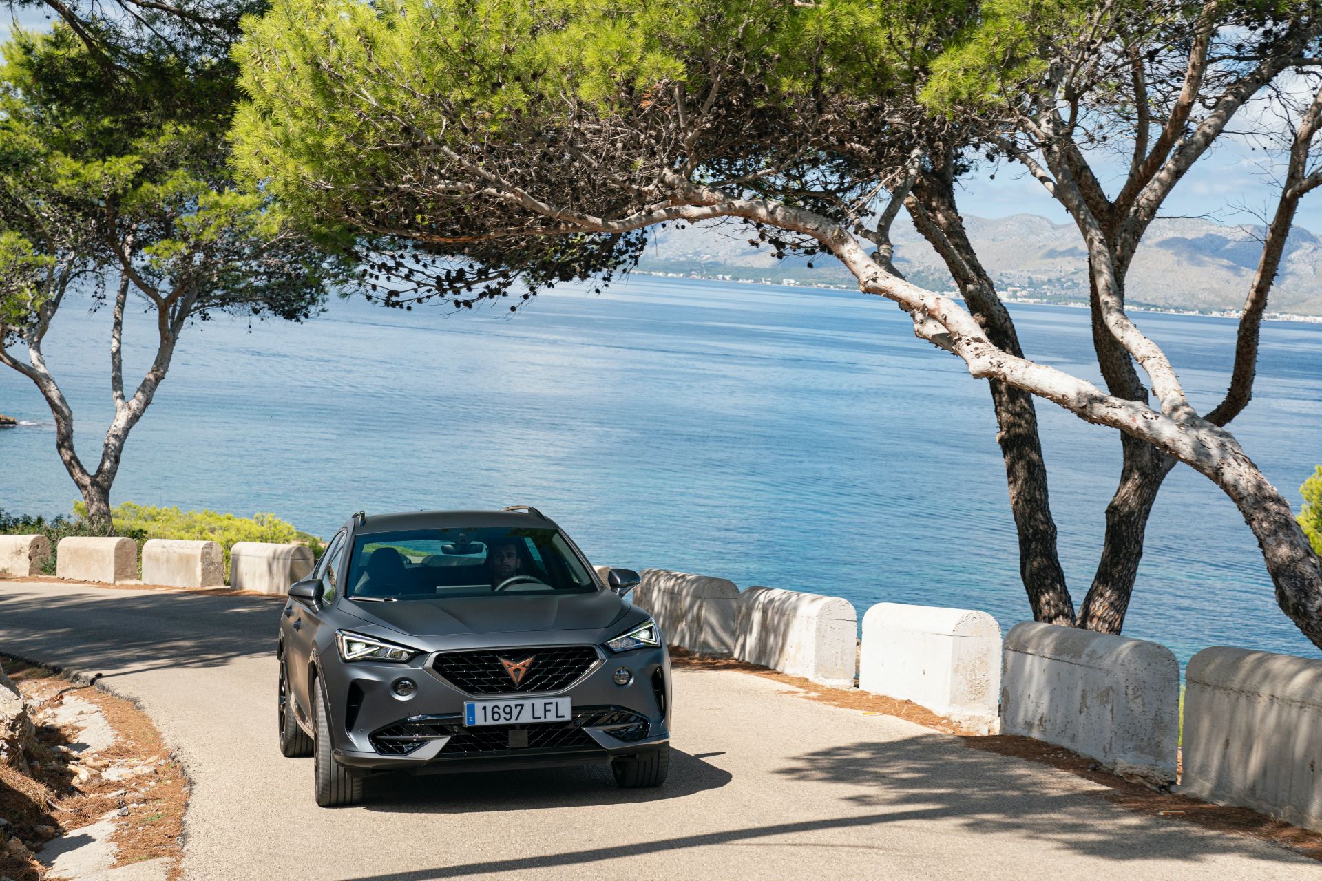 The 2021 Cupra Formentor Stars In 97 New Photos As Engine Lineup Detailed