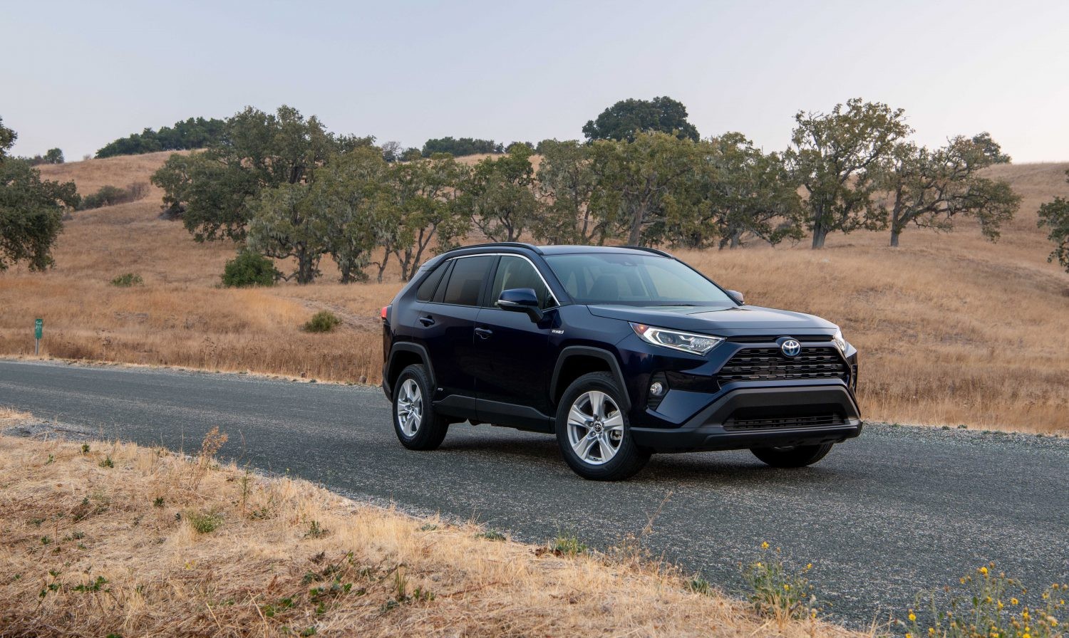 Toyota RAV4 Gains New Hybrid XLE Premium Trim For 2021