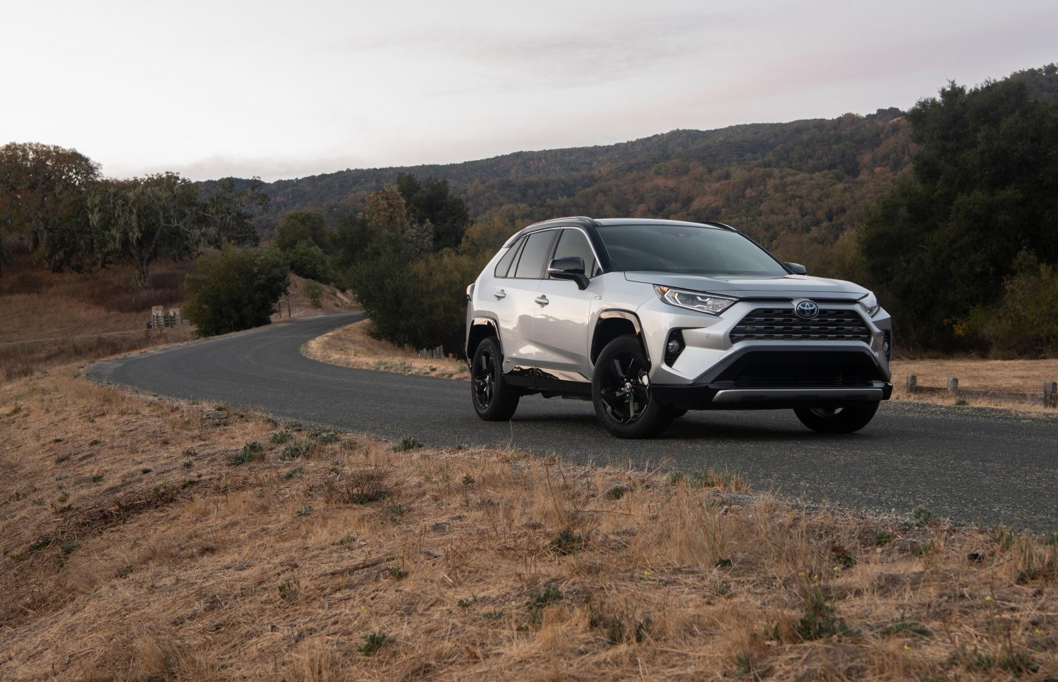 Toyota RAV4 Gains New Hybrid XLE Premium Trim For 2021