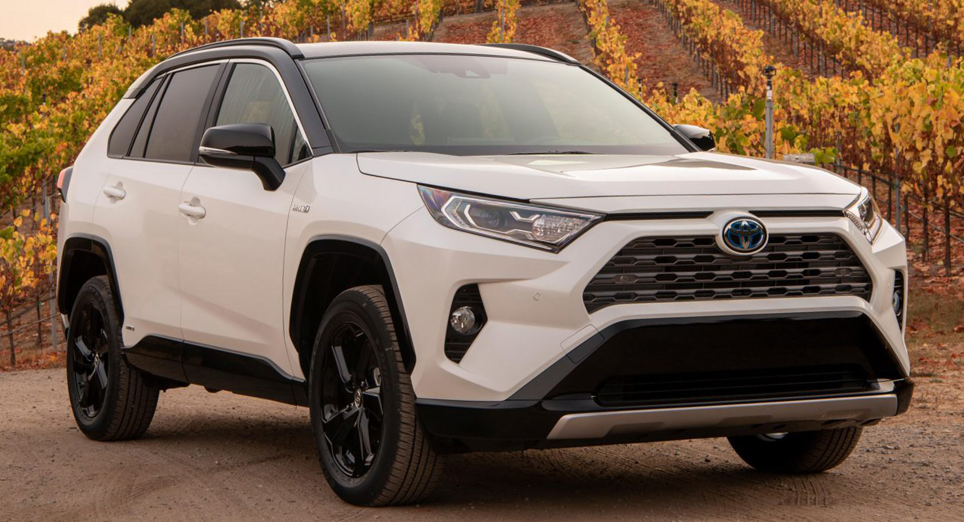 2021 Toyota Rav4 Xle Features