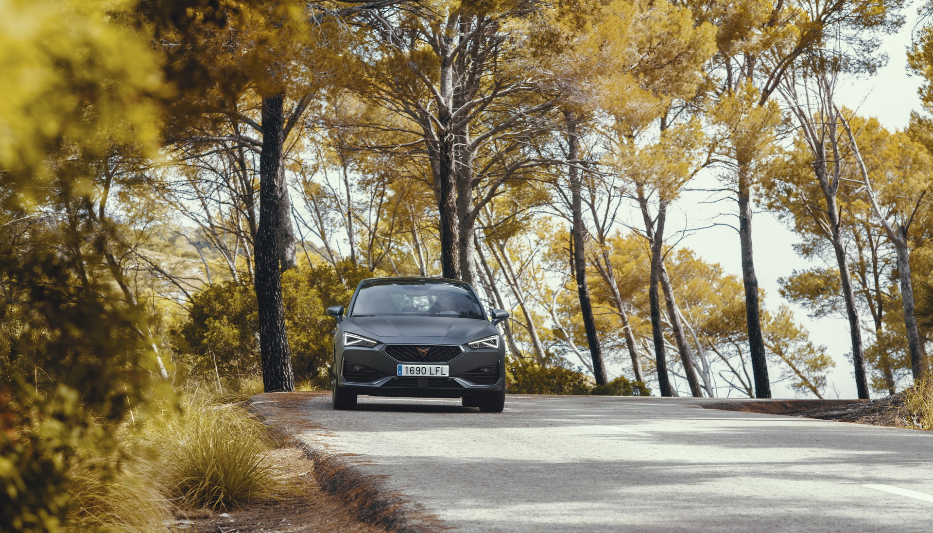 2021 Cupra Leon: Plug-In Hybrid Hot Hatch Hits The European Market