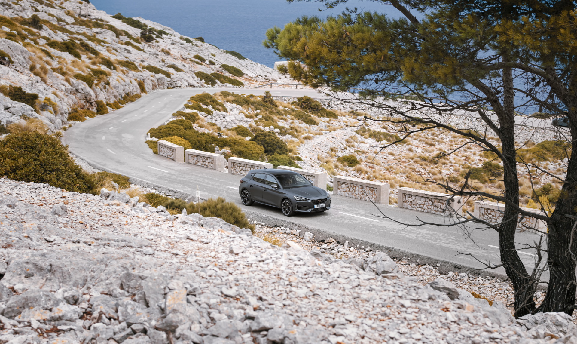 2021 Cupra Leon: Plug-In Hybrid Hot Hatch Hits The European Market