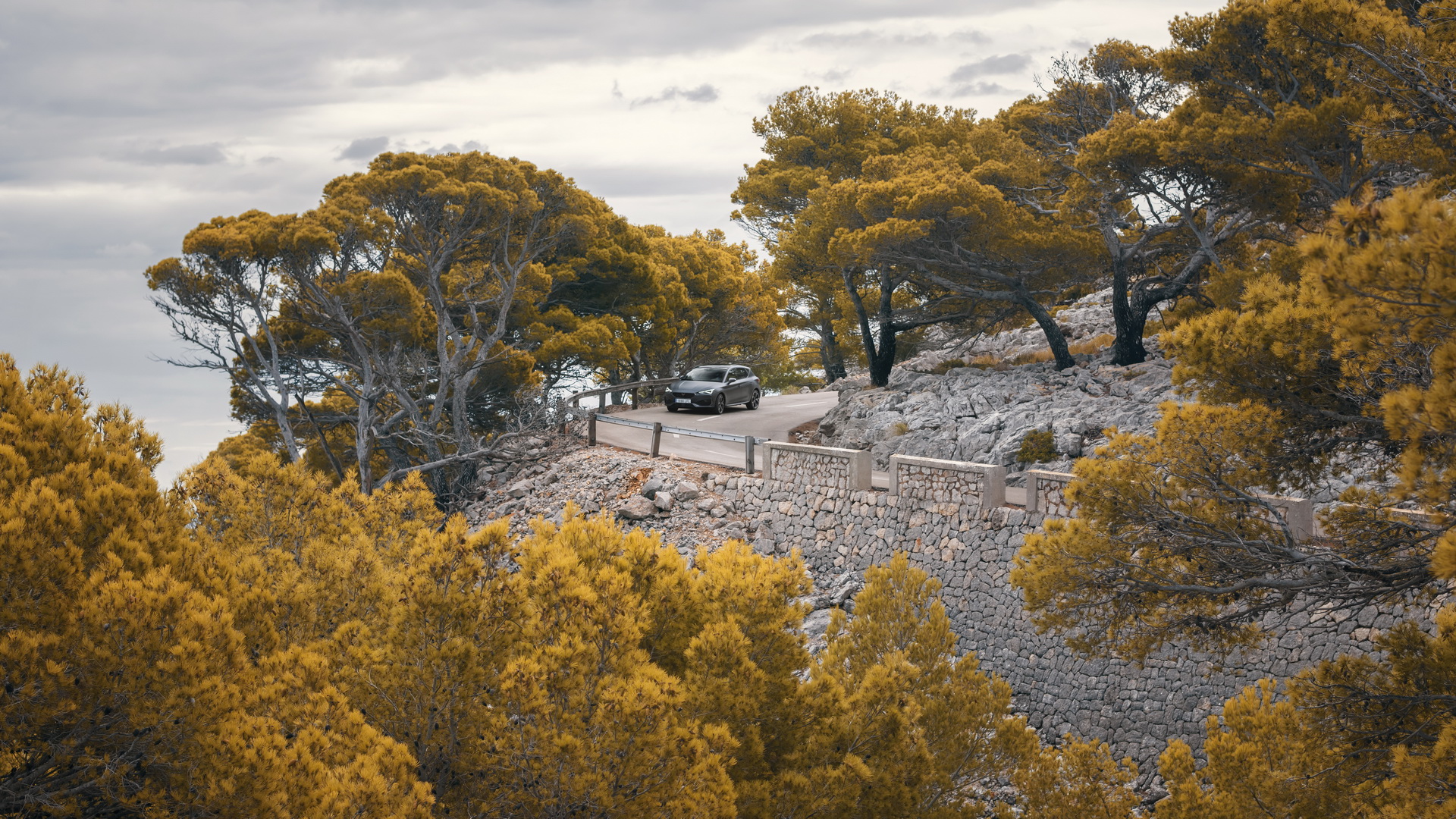 2021 Cupra Leon: Plug-In Hybrid Hot Hatch Hits The European Market