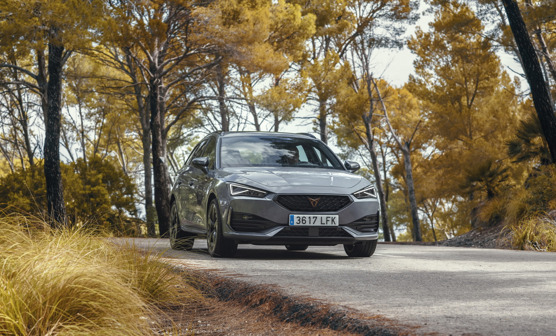 2021 Cupra Leon: Plug-In Hybrid Hot Hatch Hits The European Market