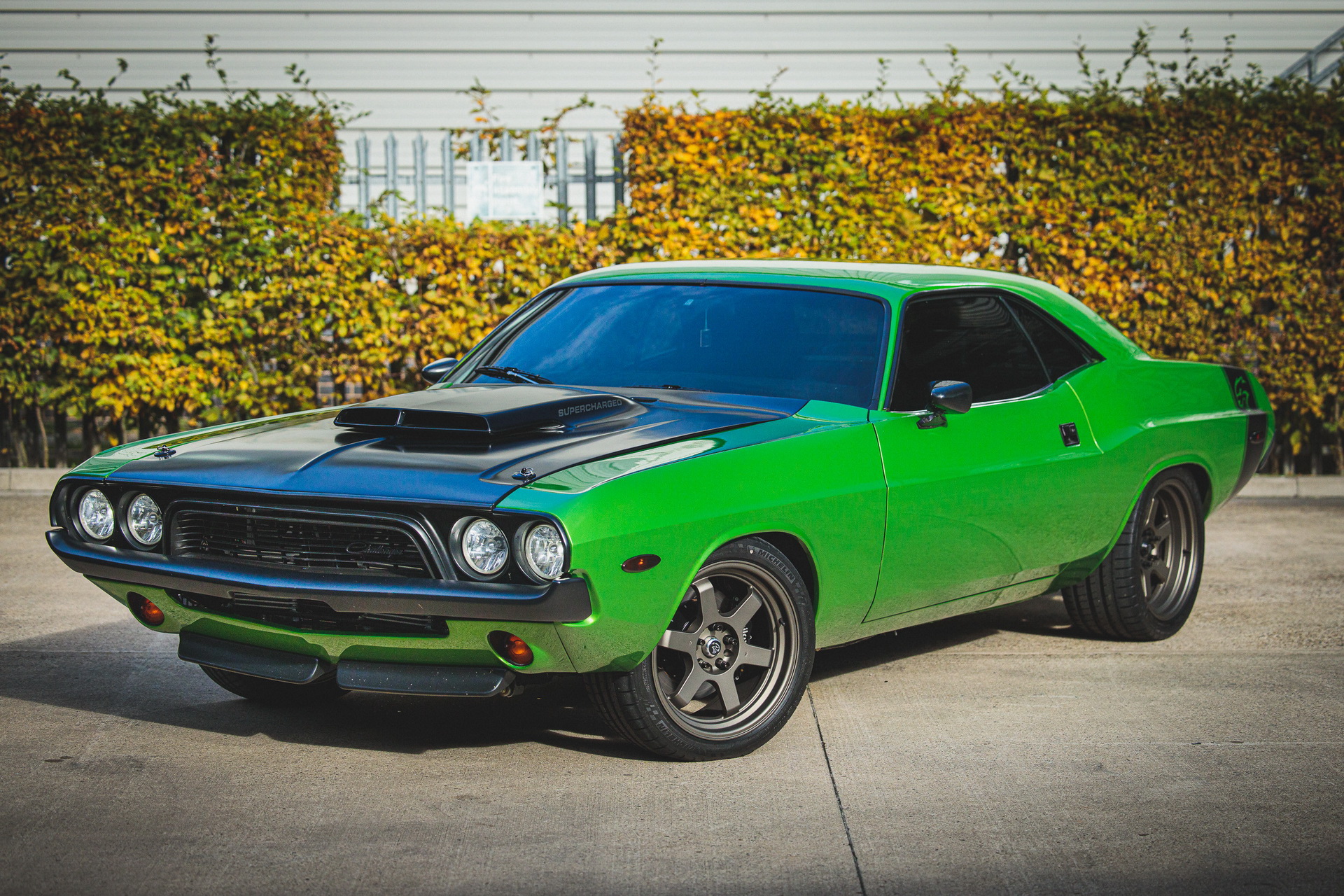 Restomod Auction: 1970 Mustang SVT “Terminator” Cobra Or 1974 Challenger Hellcat?