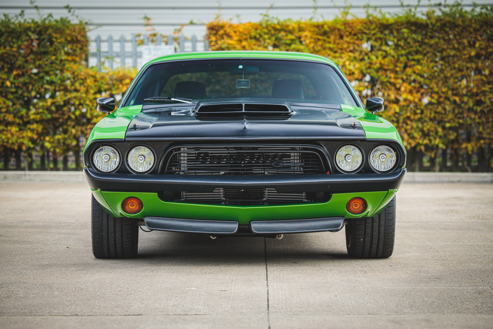 Restomod Auction: 1970 Mustang SVT “Terminator” Cobra Or 1974 Challenger Hellcat?