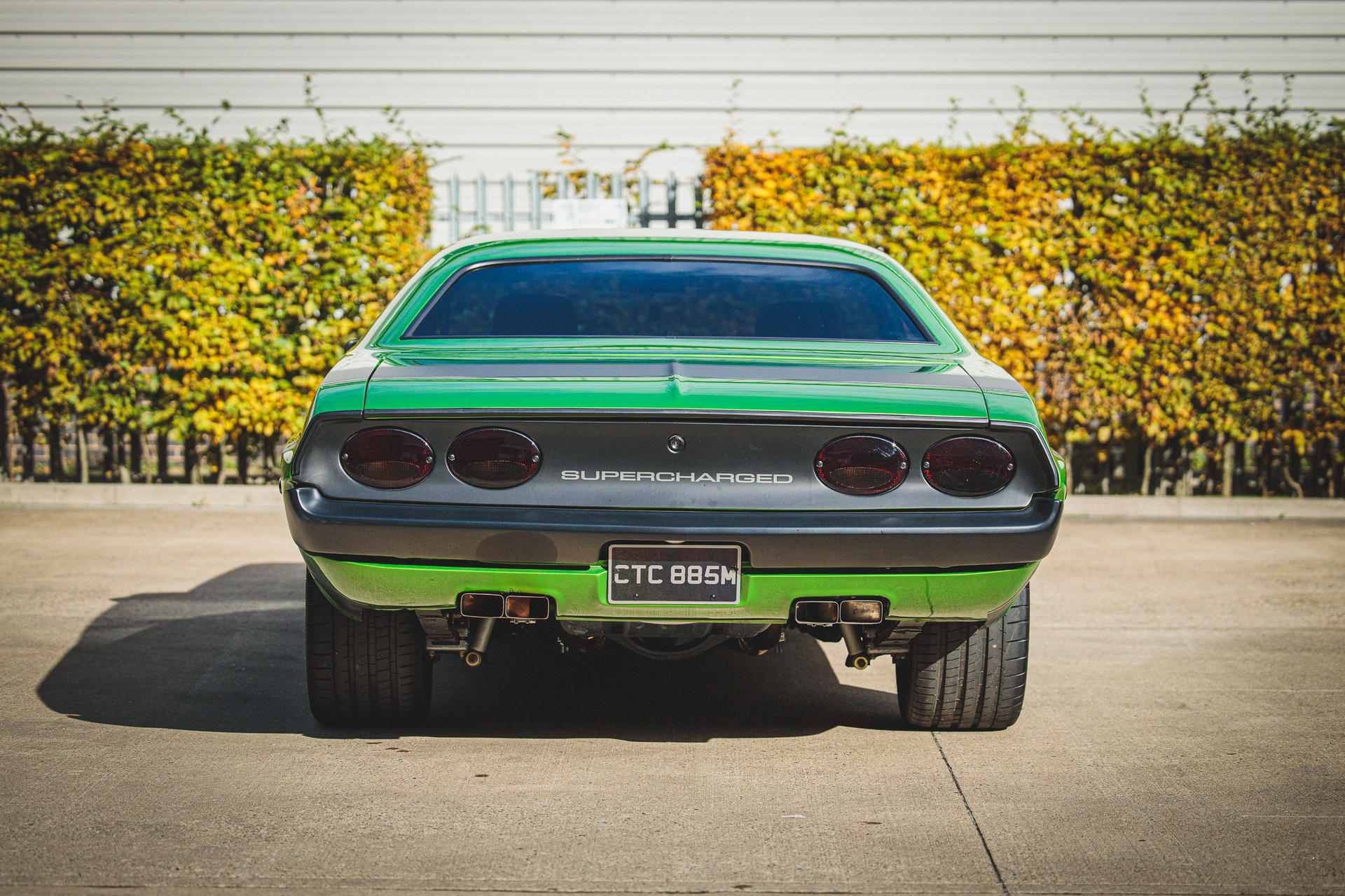 Restomod Auction: 1970 Mustang SVT “Terminator” Cobra Or 1974 Challenger Hellcat?