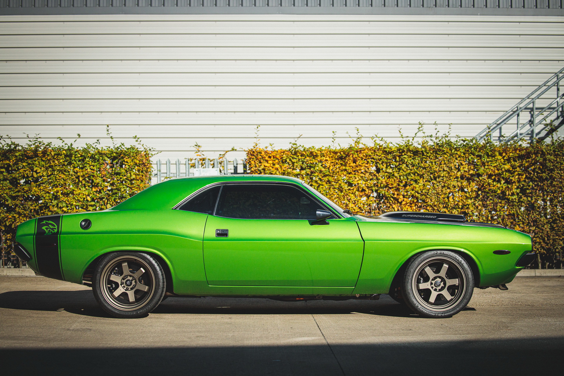 Restomod Auction: 1970 Mustang SVT “Terminator” Cobra Or 1974 Challenger Hellcat?