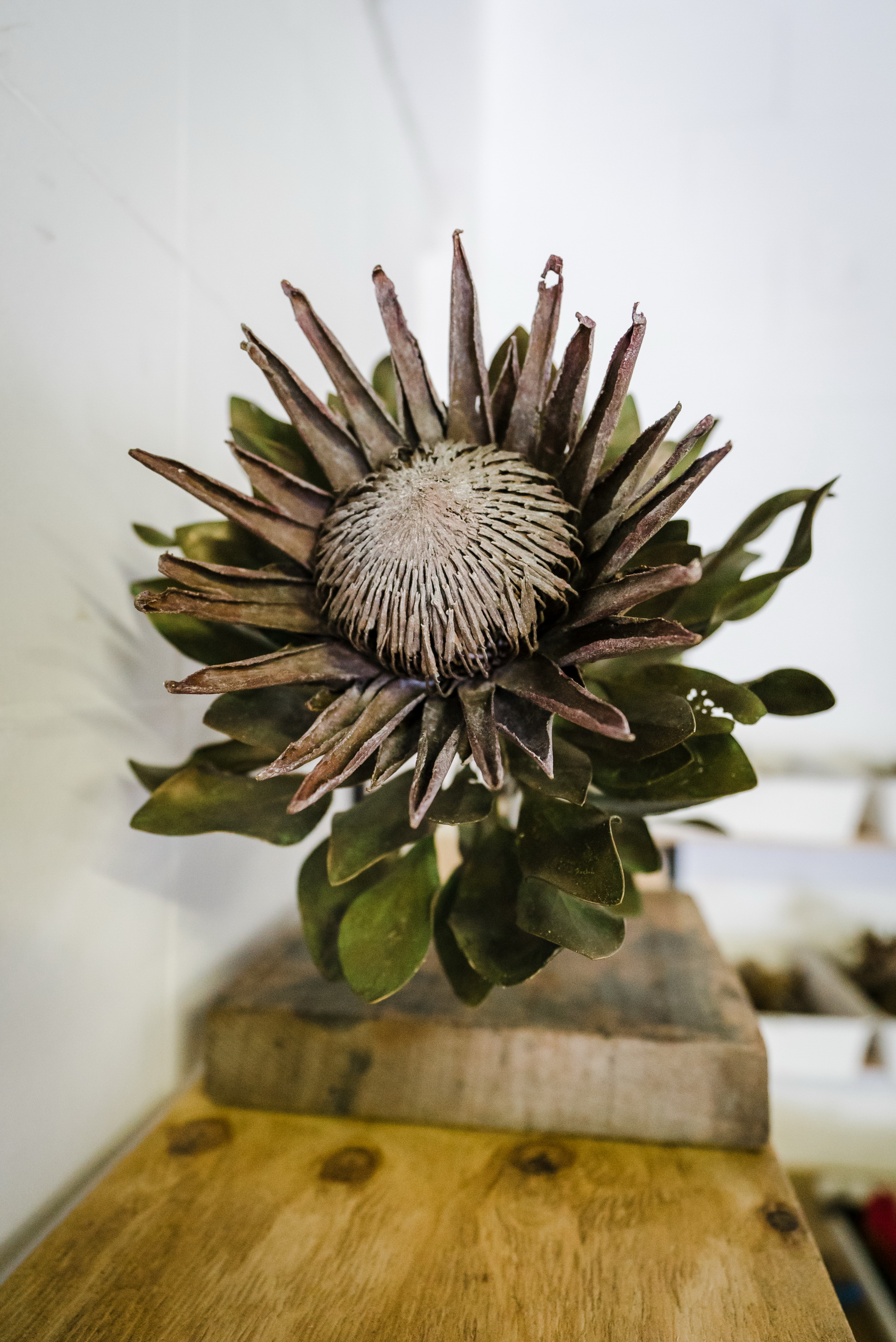 BMW Individual Shows Off Bespoke 745Le Created For A Boutique Hotel