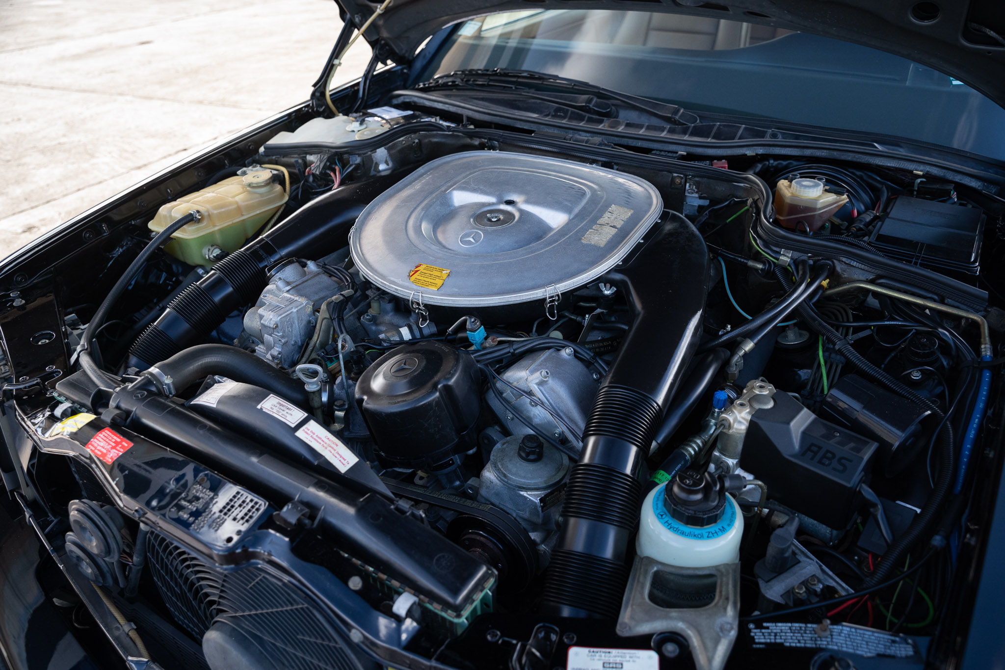 We Project These Eighties Exotics From Florida Will Win Your Vote