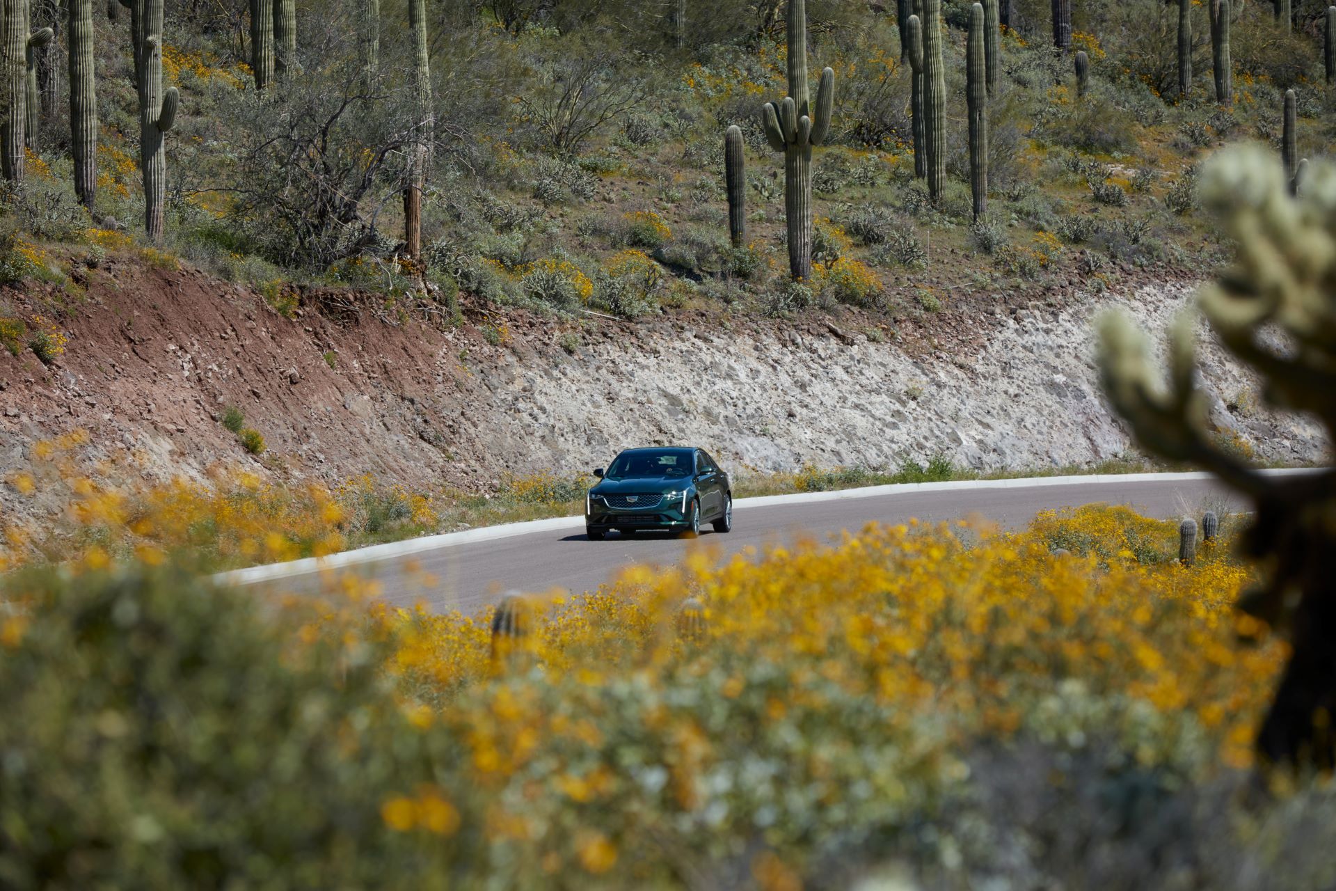 Cadillac’s Torque-Based Naming Scheme Is Confusing Even For… Cadillac
