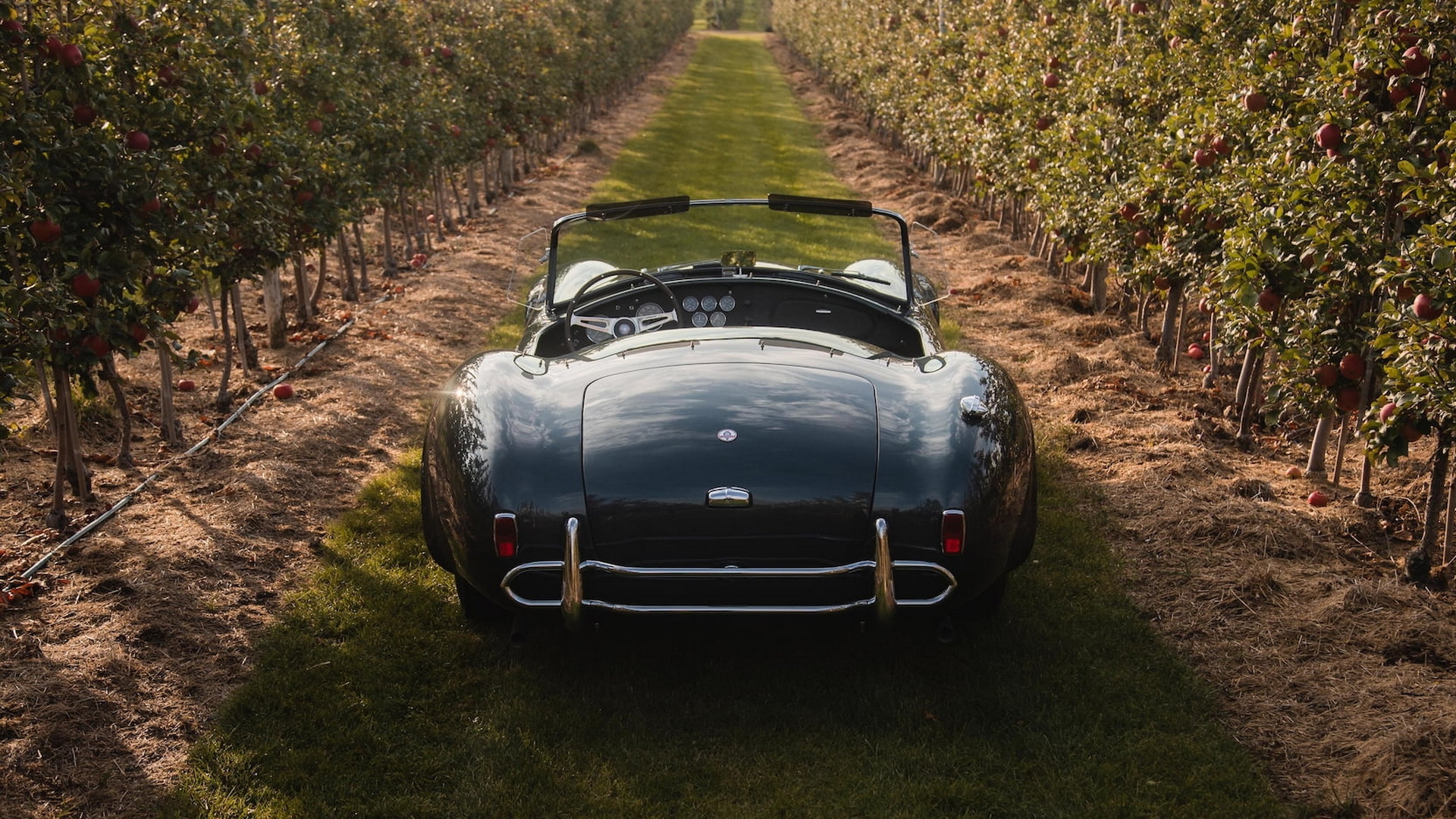 Carroll Shelby’s Personal 427 Cobra Is Bound To Start A Bidding War