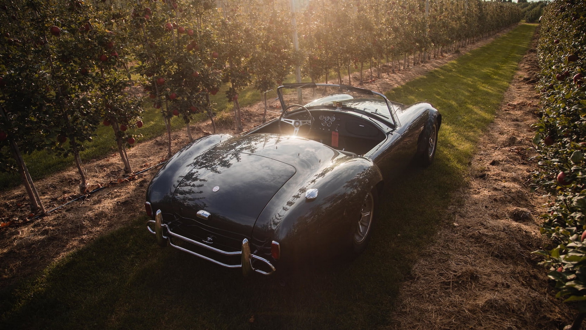 Carroll Shelby’s Personal 427 Cobra Is Bound To Start A Bidding War
