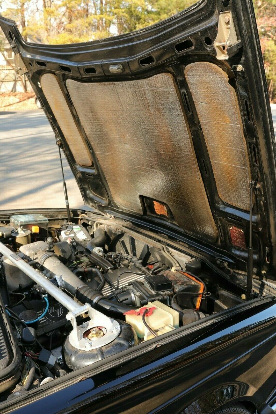 Let This Tastefully Modded ’84 Shark-Nosed 745i Remind You Why We Loved BMWs