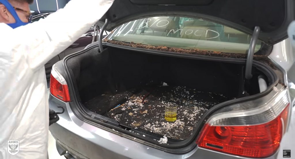  Detailers Breathe New Life Into Mold-Riddled BMW 5-Series