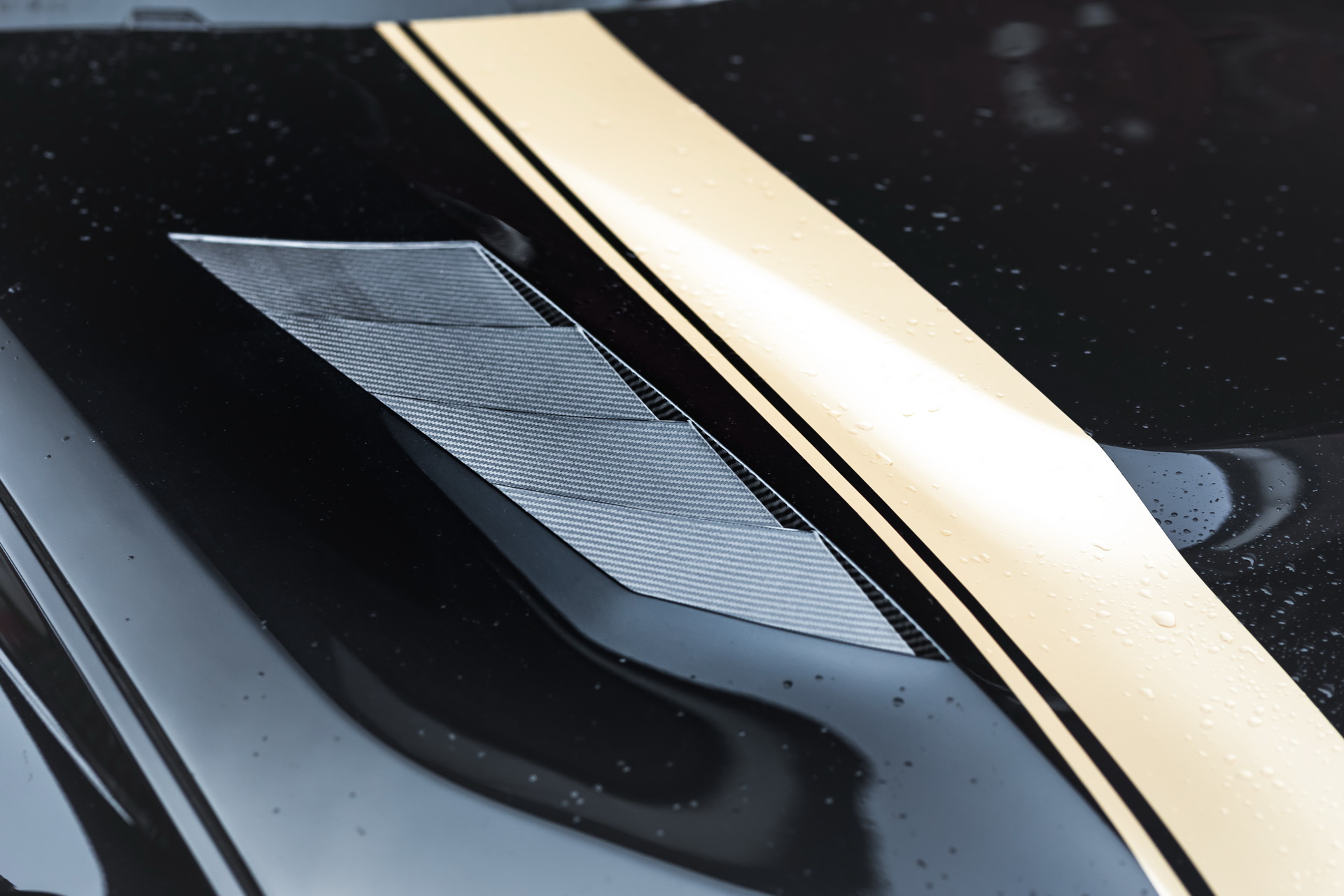 Manhart’s BMW X5 M Competition MHX5 800 Is Anything But Subtle