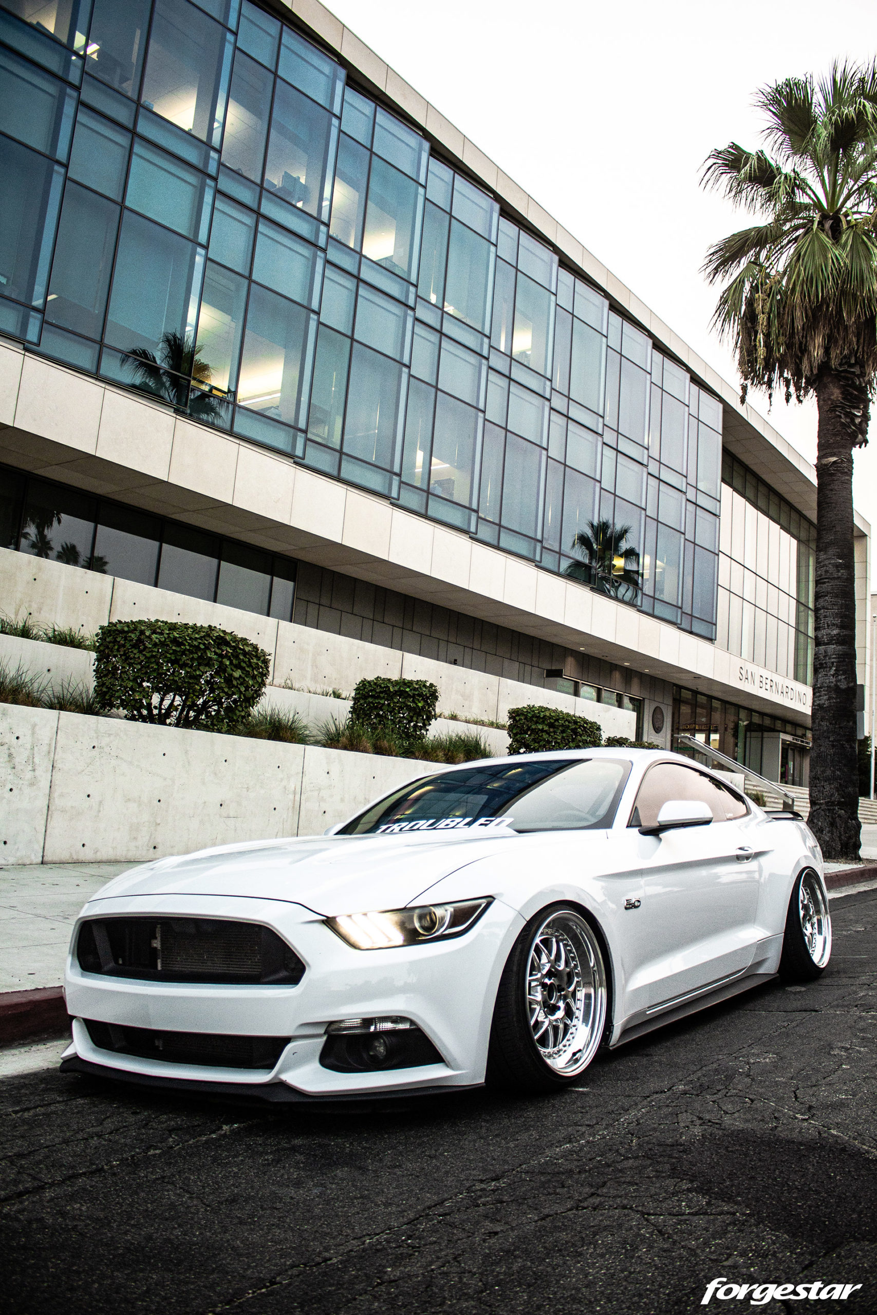 Stanced Ford Mustang GT On Custom Wheels Does Look Troubled Indeed
