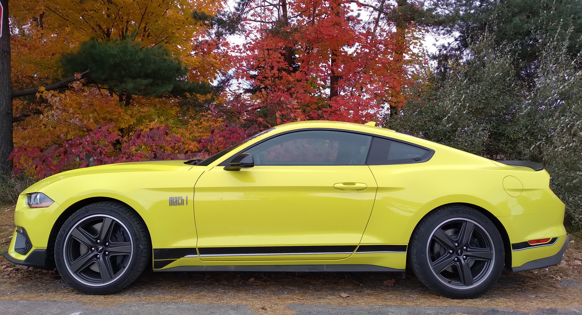 2021 Mustang Mach 1 To Hit The Road With Very Mild Visual Tweaks, Here’s How To Spot Them