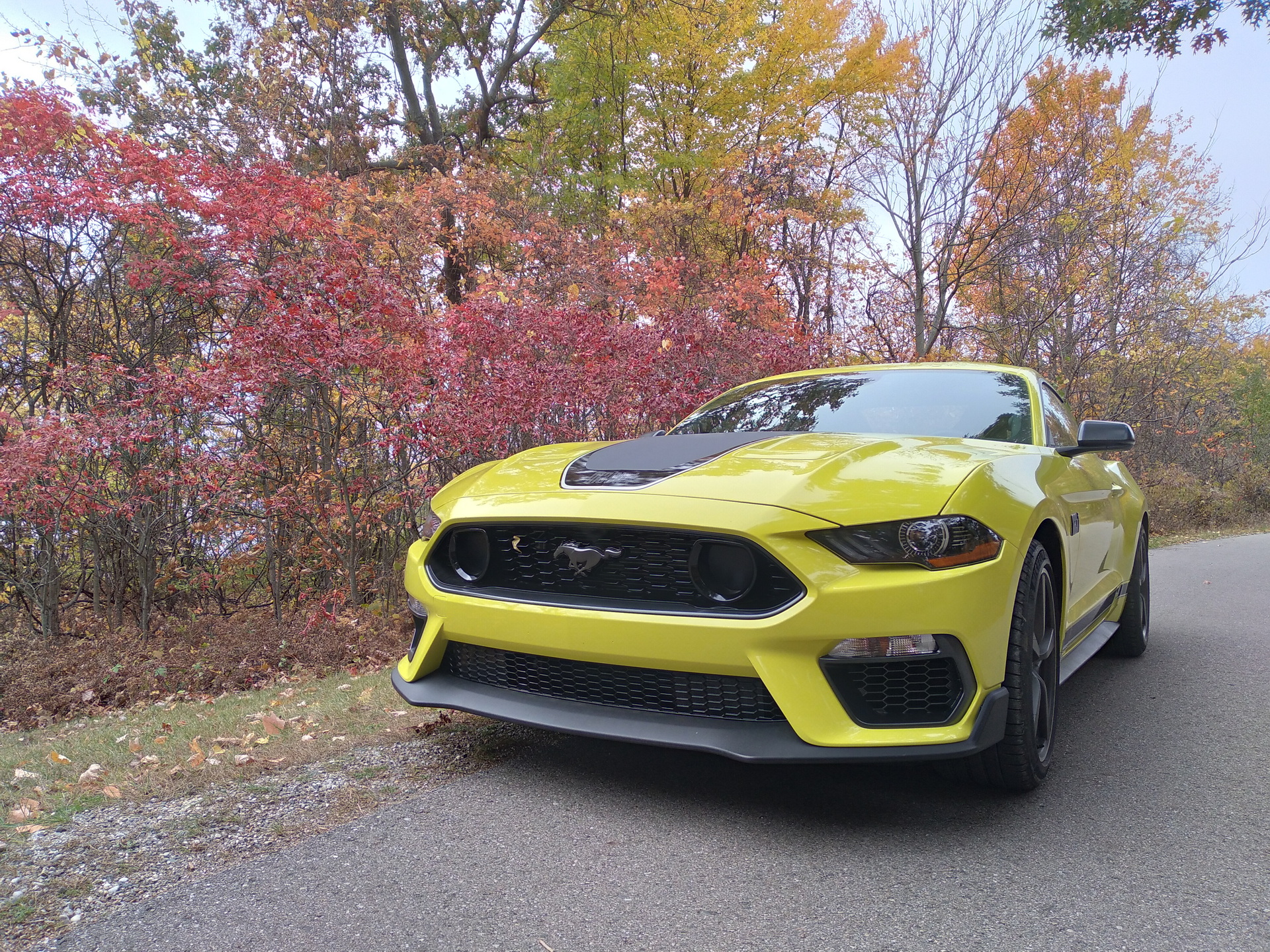 2021 Mustang Mach 1 To Hit The Road With Very Mild Visual Tweaks, Here’s How To Spot Them