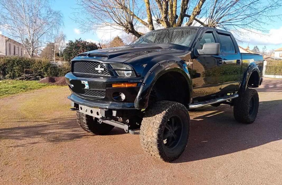  Your Face Seems Familiar: Ford Mustang F-150 Pickup Spotted In France