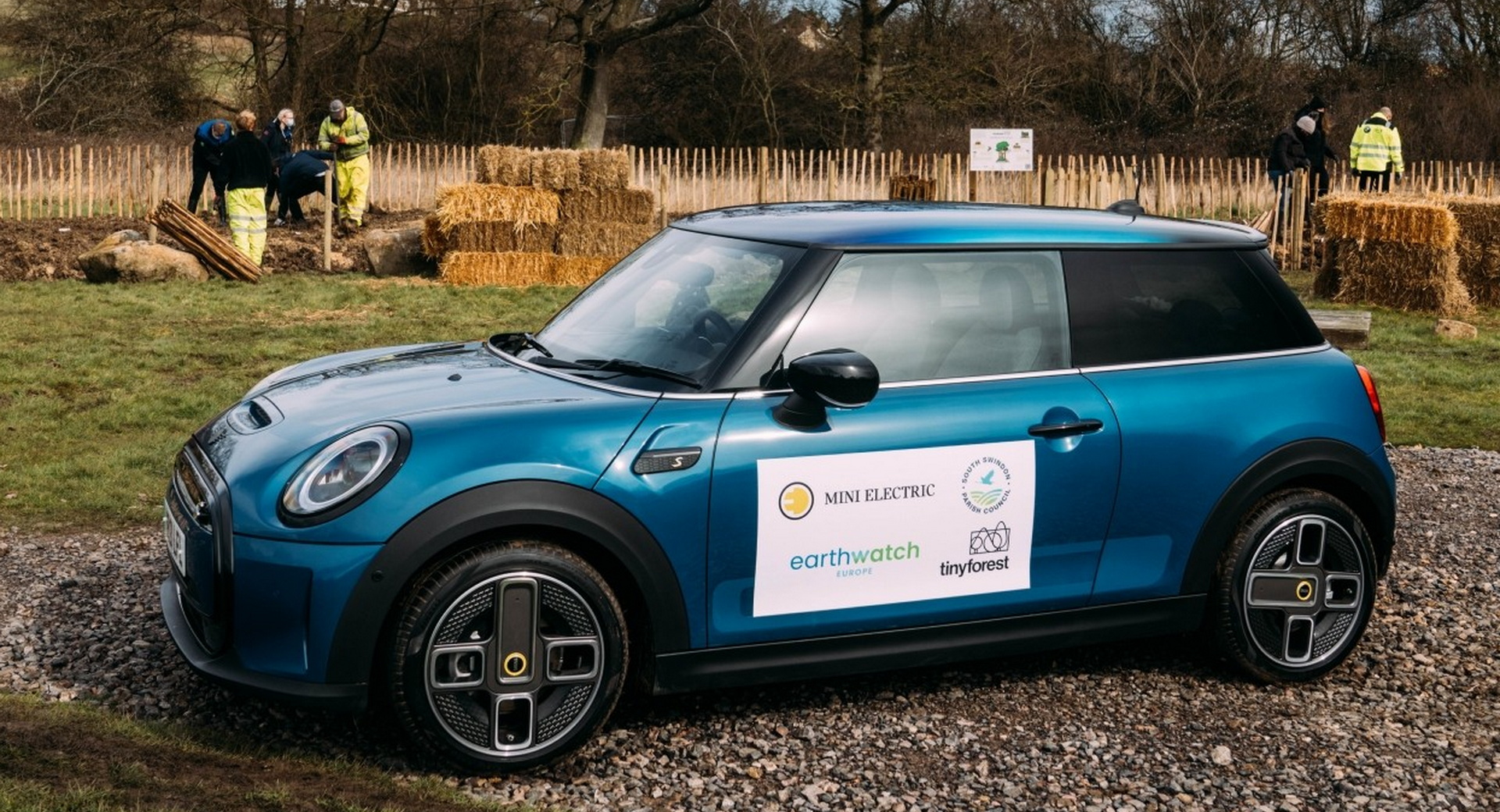 MINI Plants Mini Forest Near Its UK Plant In Swindon