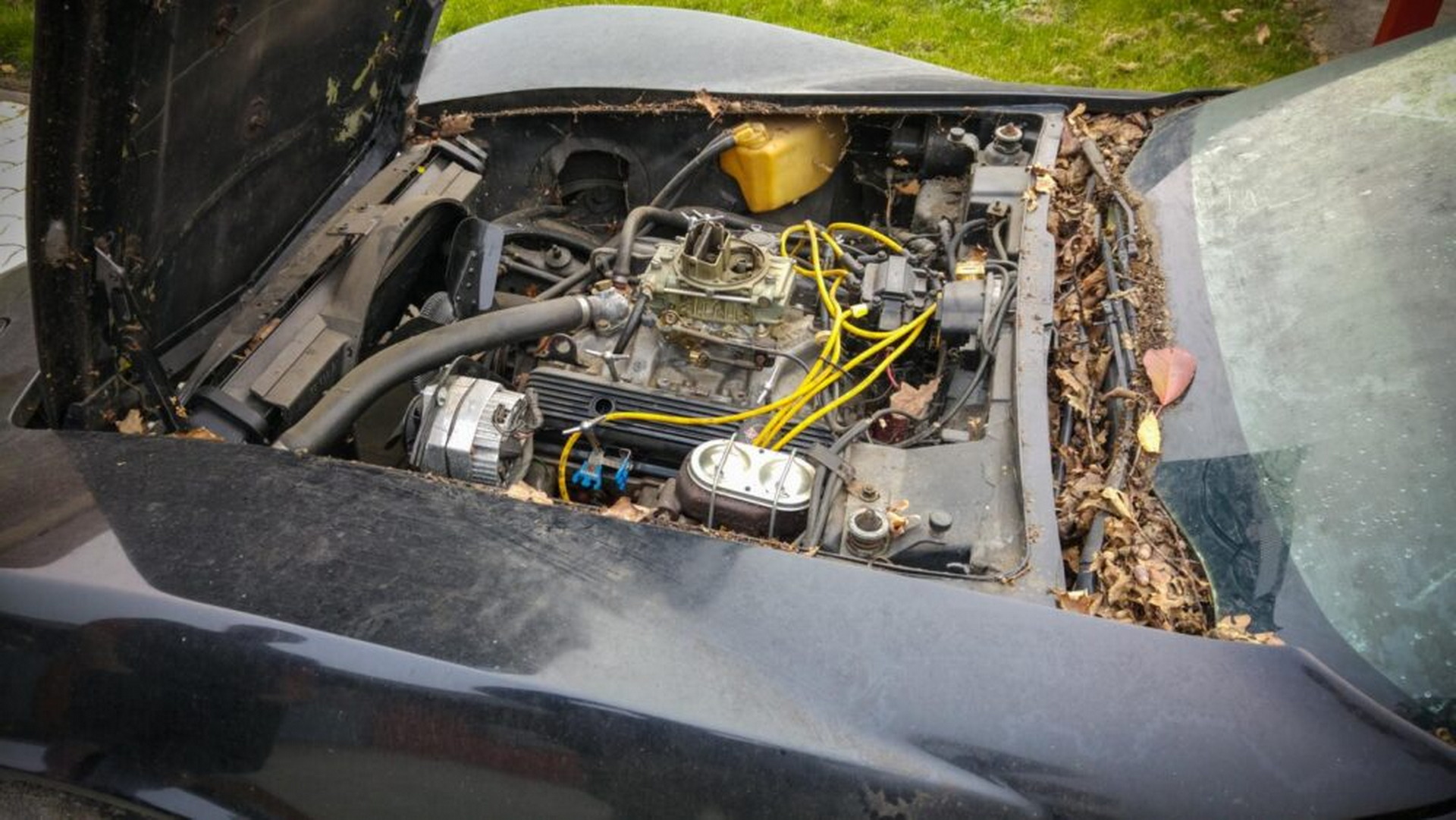 This C6 Corvette With A C3 Body Is The Perfect Combination Of Old And New