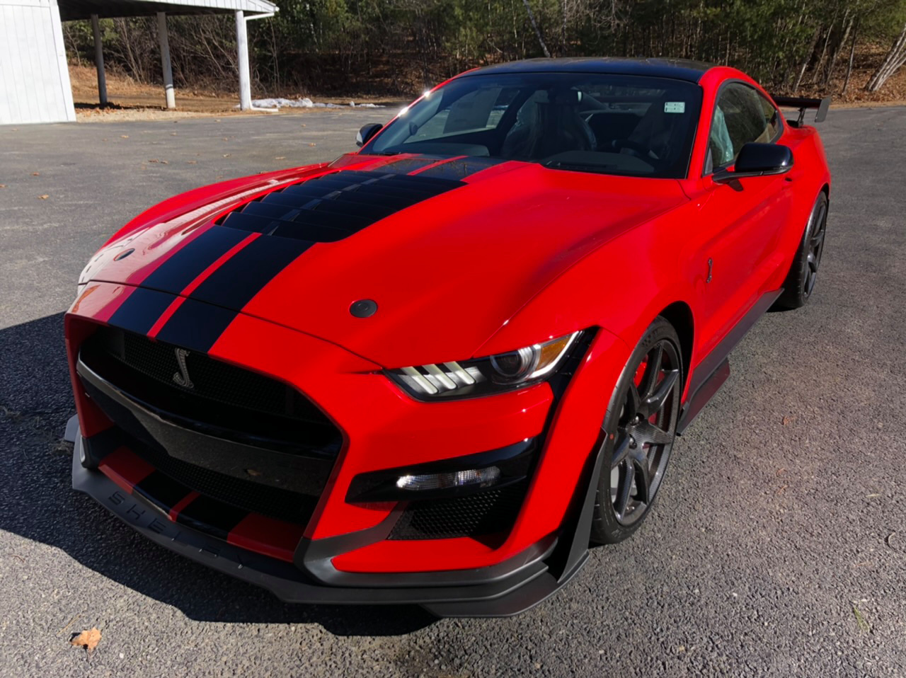 Ford Mustang Shelby GT500 Is Begging To Be Taken To The Track