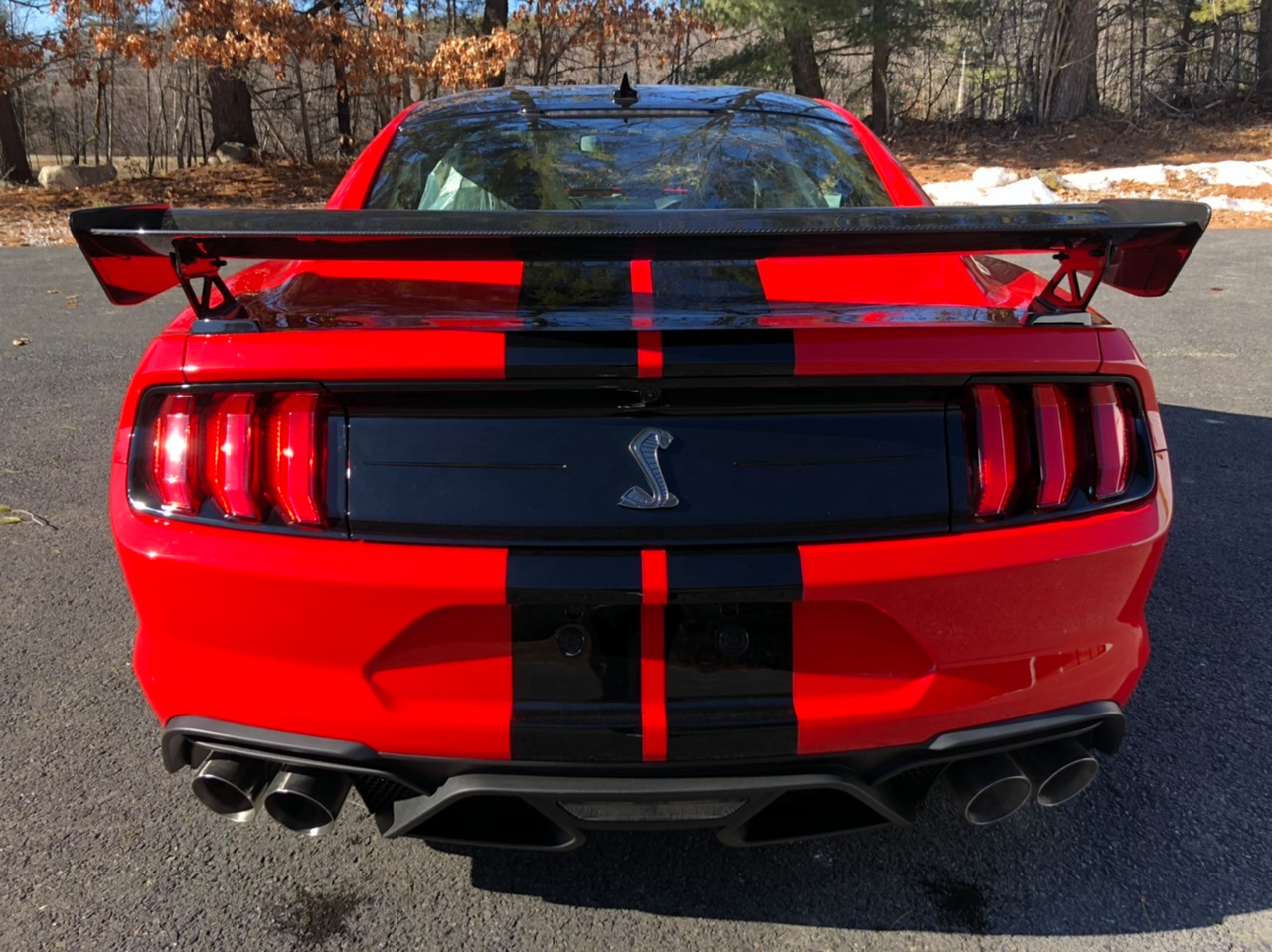 Ford Mustang Shelby GT500 Is Begging To Be Taken To The Track