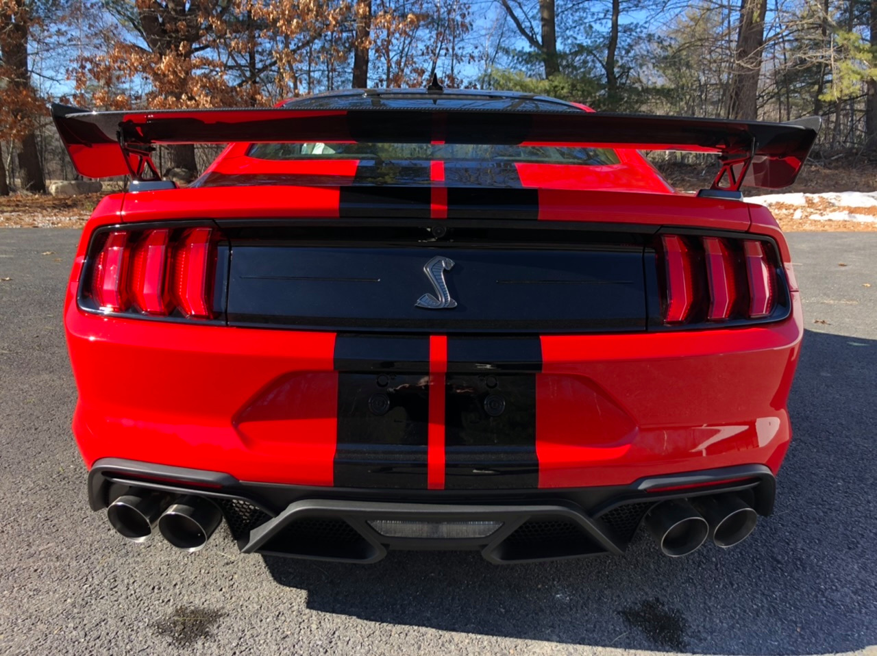 Ford Mustang Shelby GT500 Is Begging To Be Taken To The Track