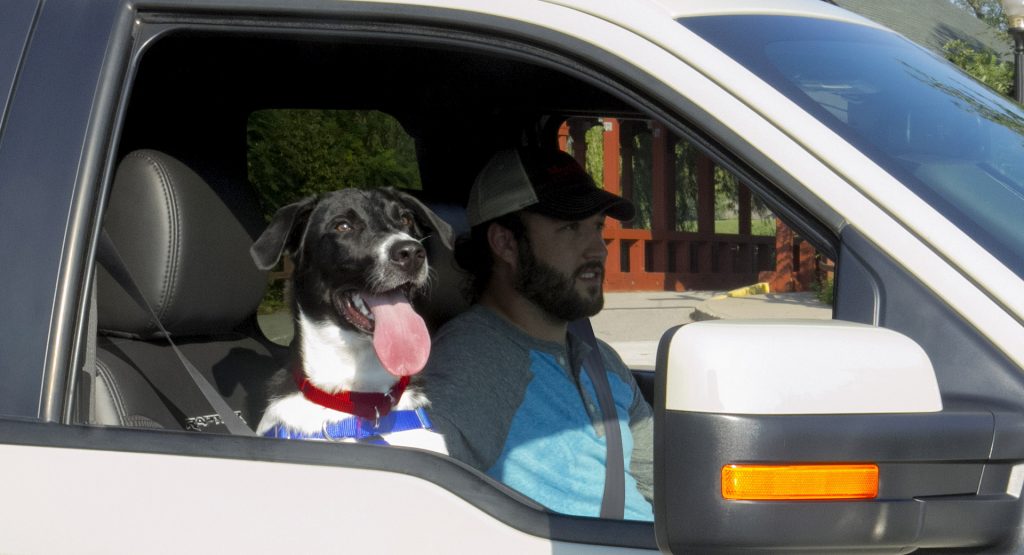  Utah Bill To Make Transporting Unrestrained Dogs In Pickup Beds Illegal