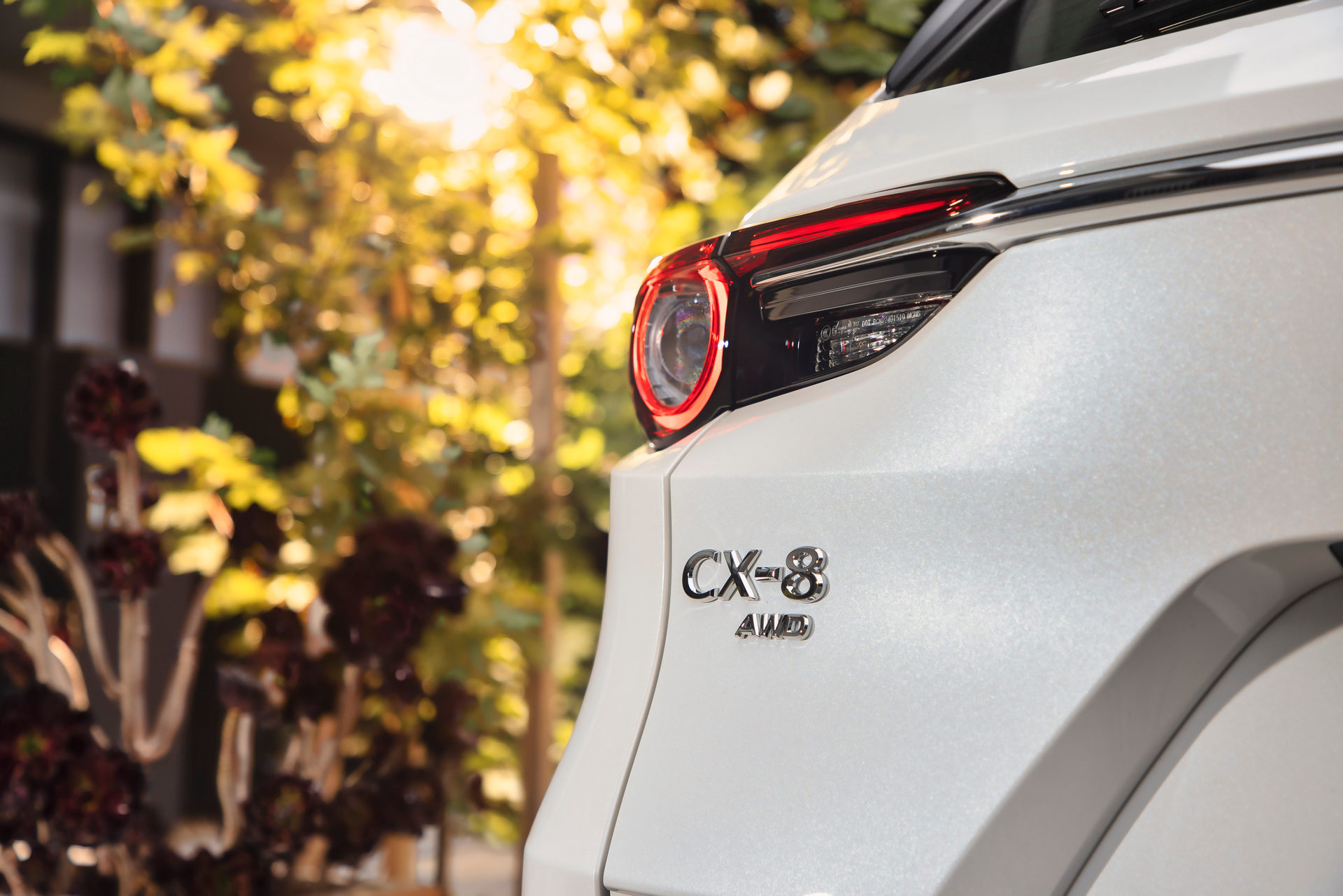 2021 Mazda CX-8 Updated With Two New Variants In Australia, Including A Luxurious Six-Seater