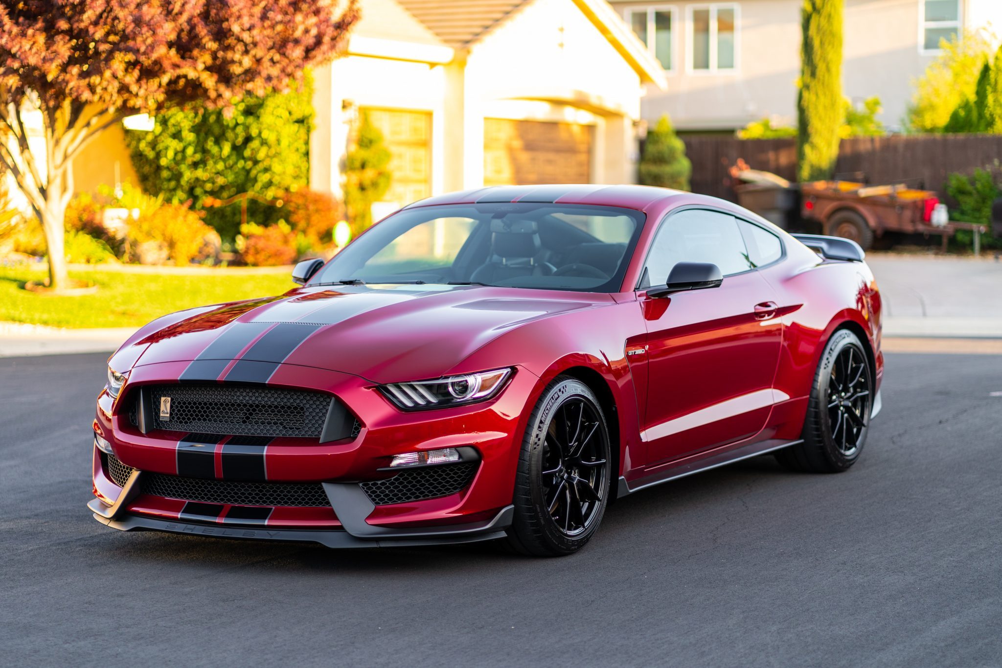 This 2019 Ford Mustang Shelby GT350 Could Be Your Perfect Canyon Carver