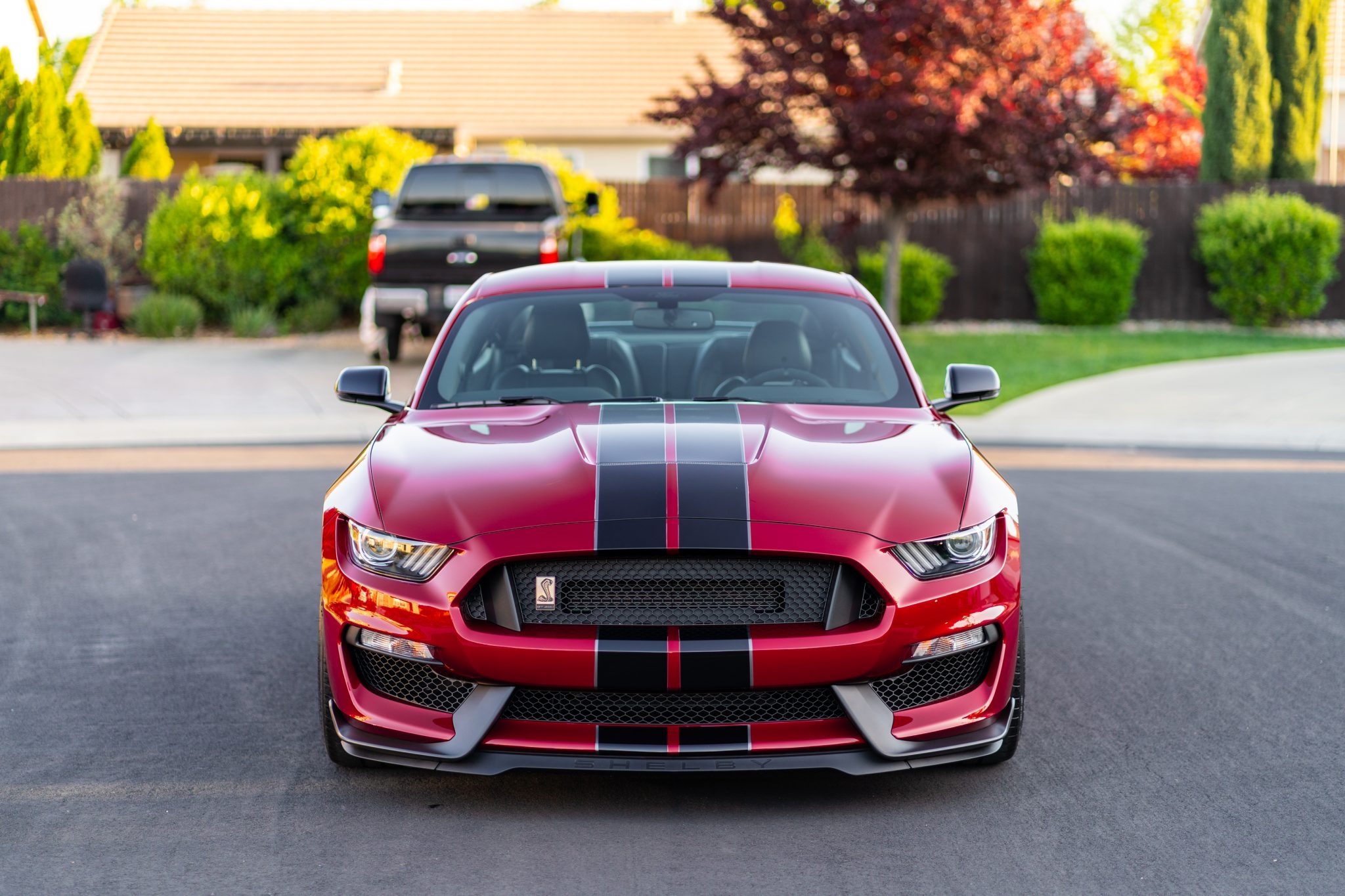 This 2019 Ford Mustang Shelby GT350 Could Be Your Perfect Canyon Carver