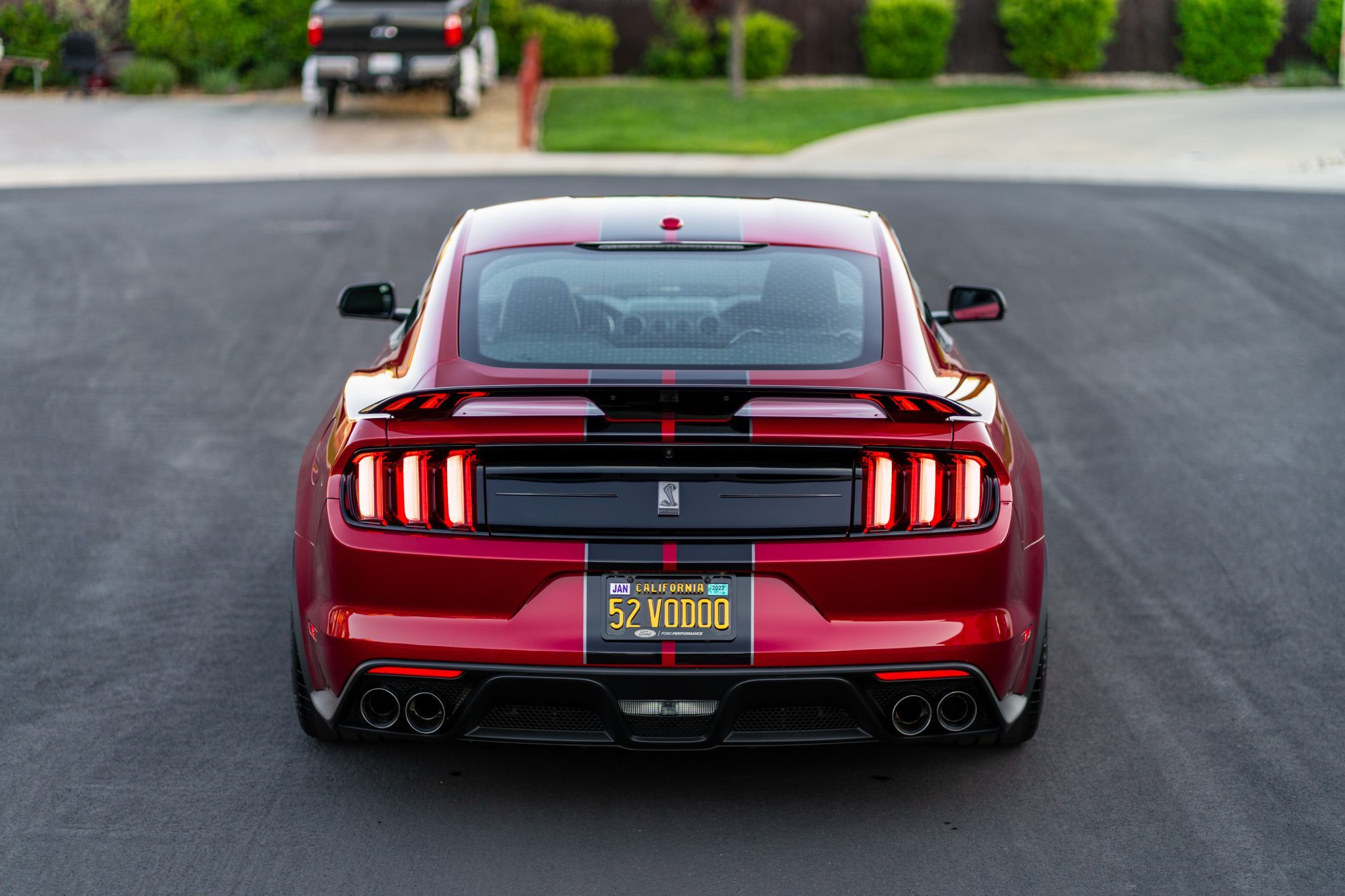 This 2019 Ford Mustang Shelby GT350 Could Be Your Perfect Canyon Carver
