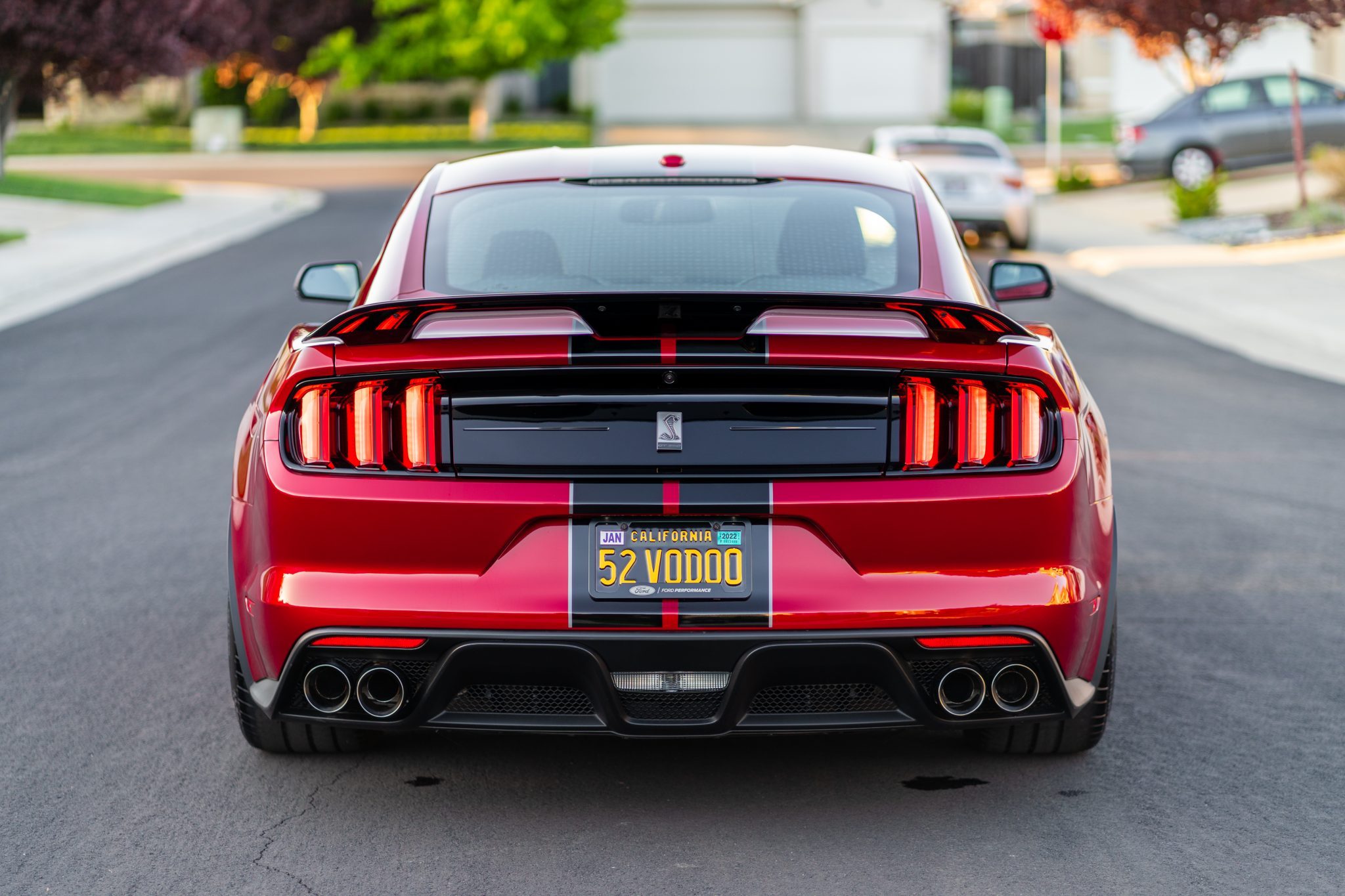 This 2019 Ford Mustang Shelby GT350 Could Be Your Perfect Canyon Carver