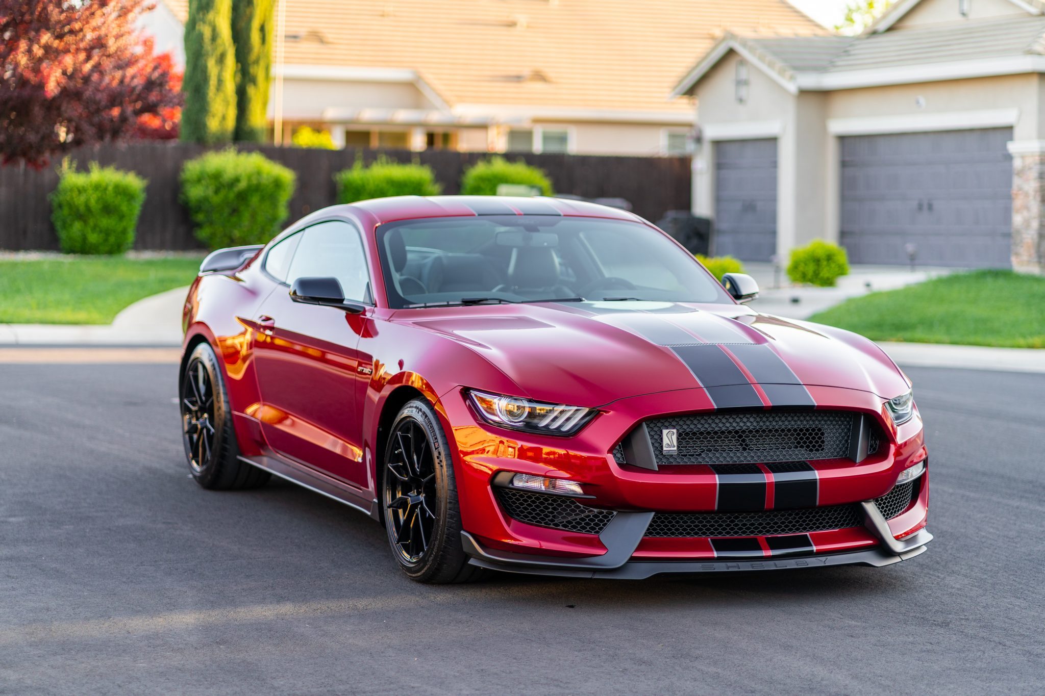 This 2019 Ford Mustang Shelby GT350 Could Be Your Perfect Canyon Carver