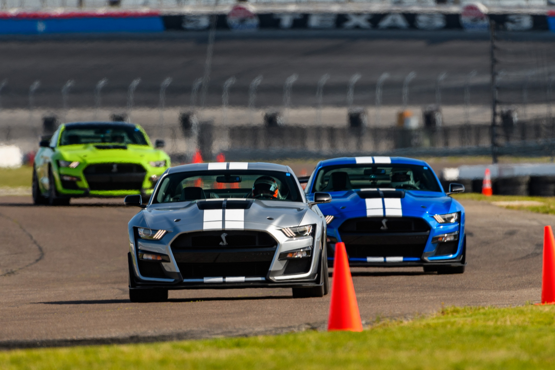 Ford Adds Four New Carbon Fiber Exterior Accessories To GT500 Parts Catalog