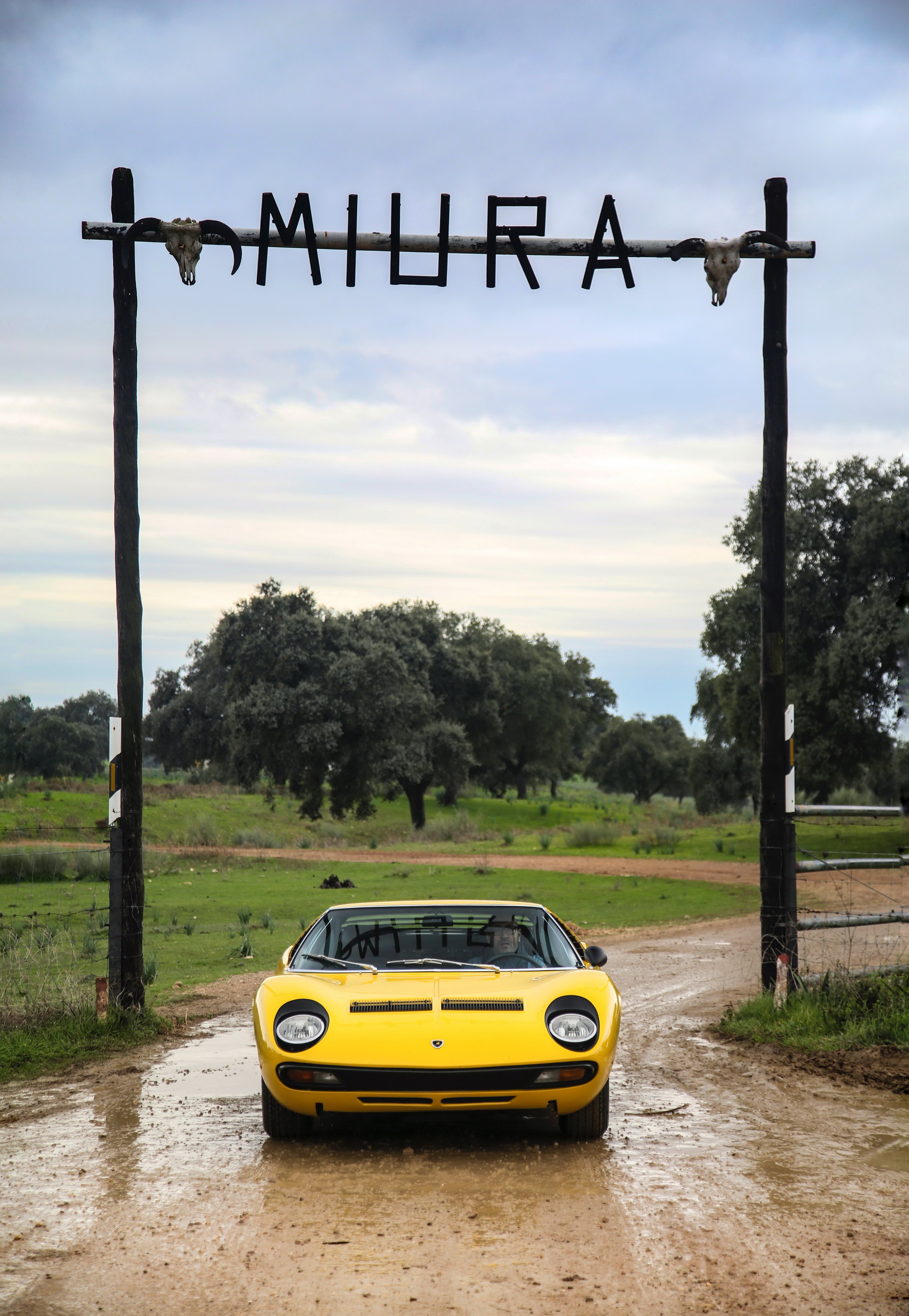 Lamborghini Miura SV Is 50 Years Old, Still Looks As Magnificent As Ever
