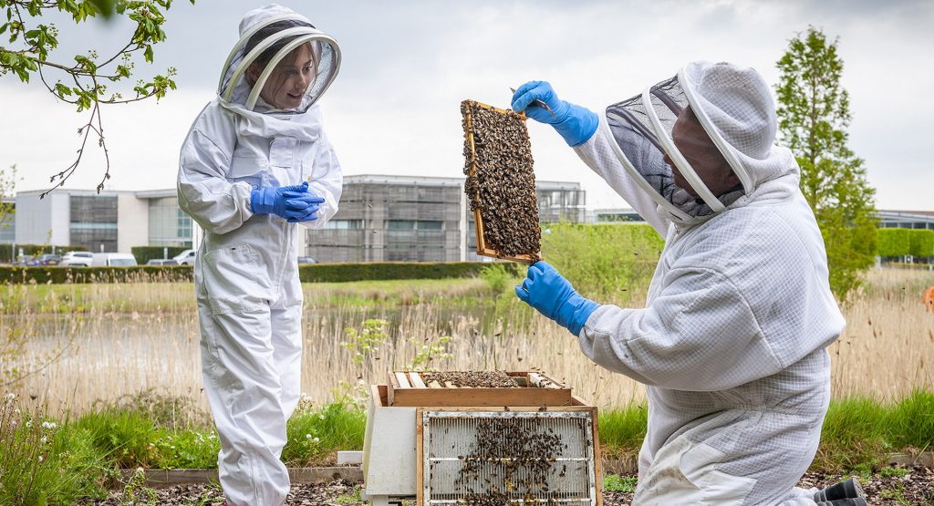  Rolls-Royce Appoints 8-Year-Old Junior Beekeeper After Her Beehive Was Stolen