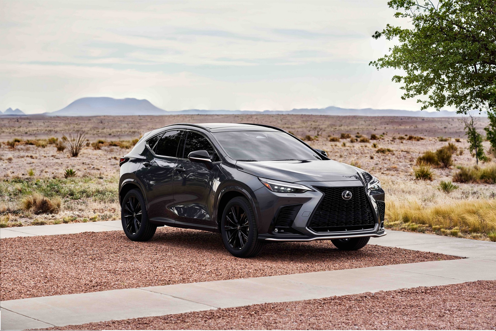 2022 Lexus NX Revealed Looking A Whole Lot Better Inside And Out, Gets PHEV Too