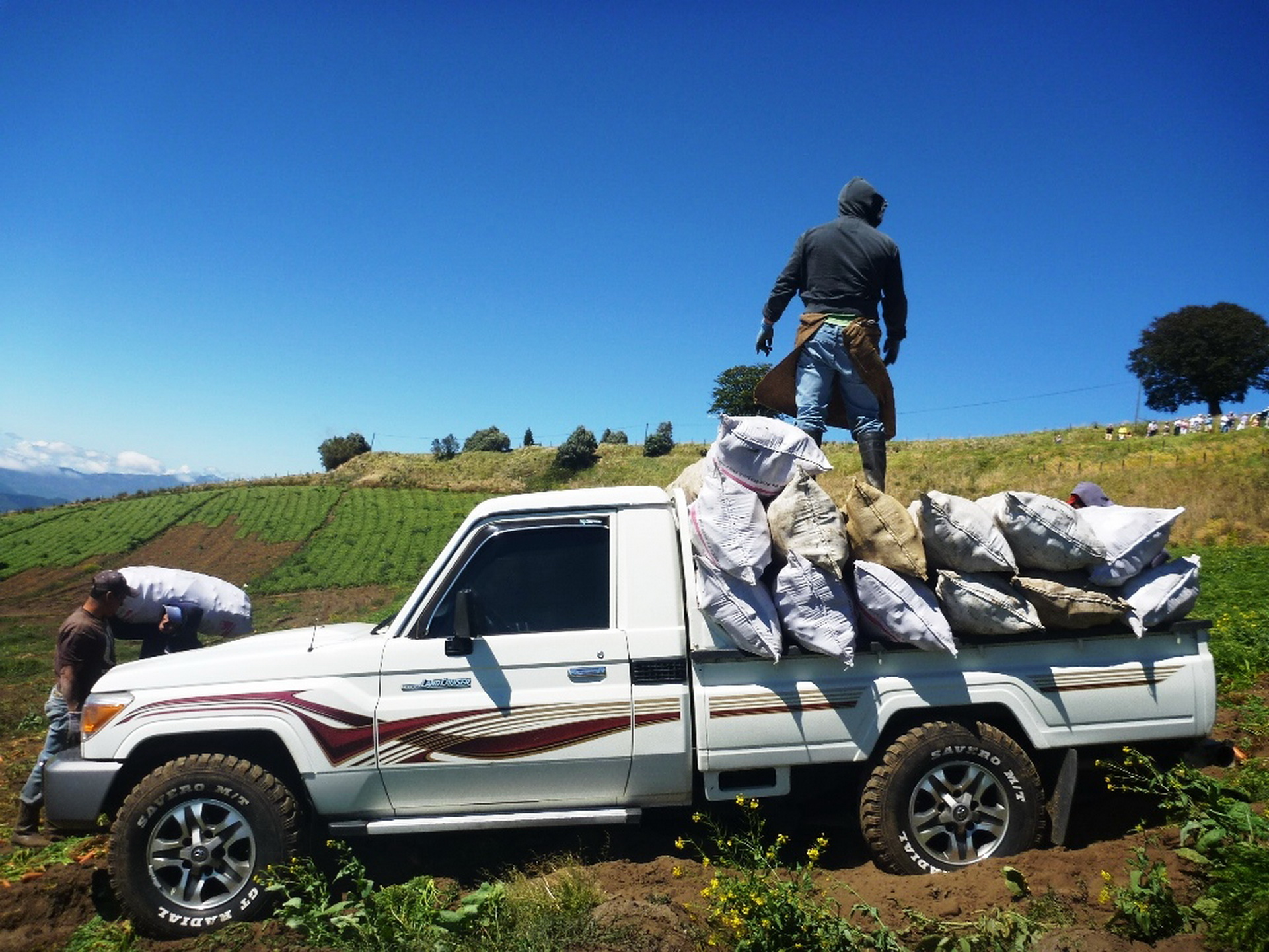 2022 Toyota Land Cruiser Loses Weight, Gains Twin-Turbo V6 And New GR Sport Variant