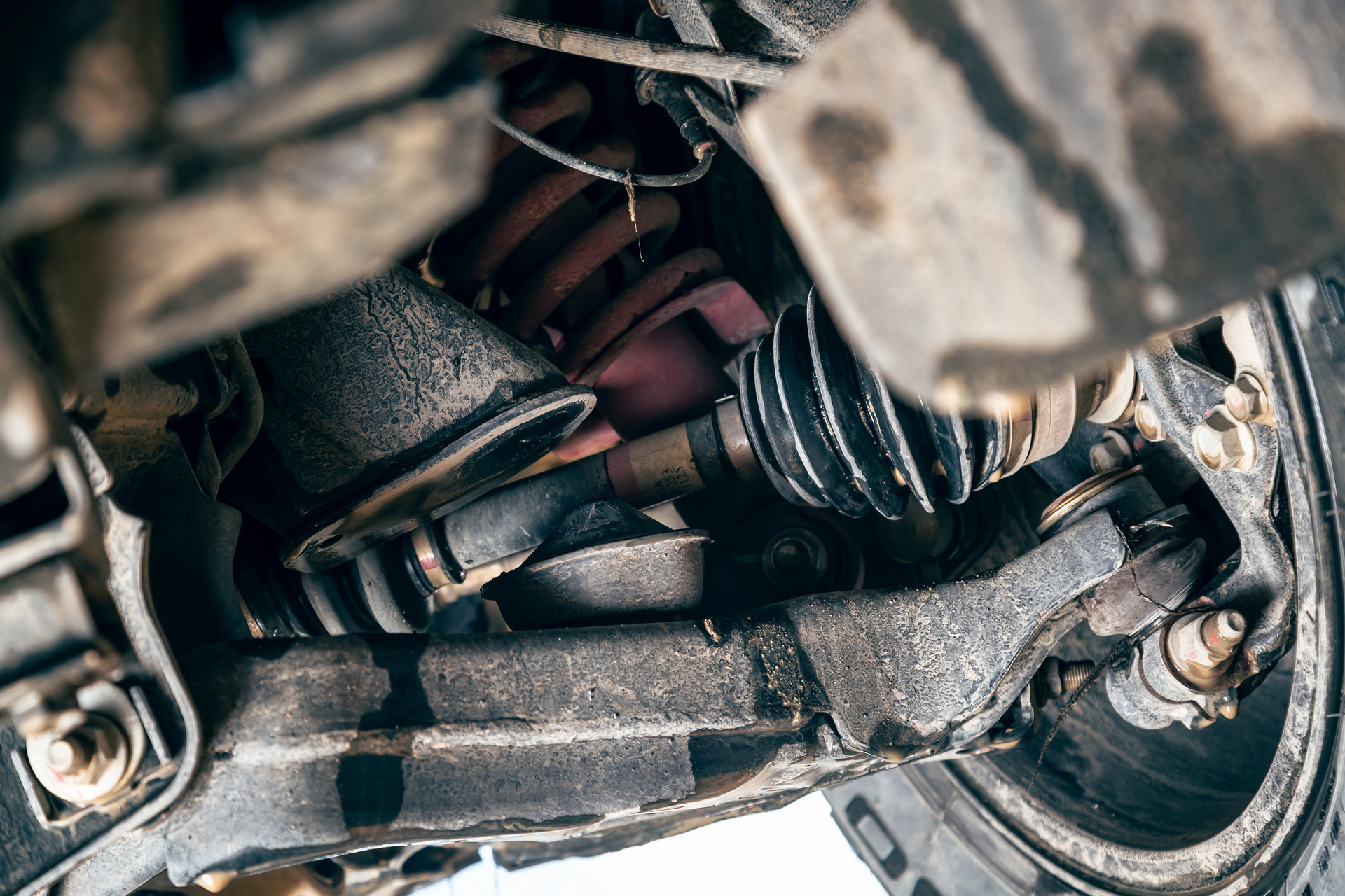 Nissan Reveals Australia-Only Navara Pro-4X Warrior Off-Road Pickup In Full