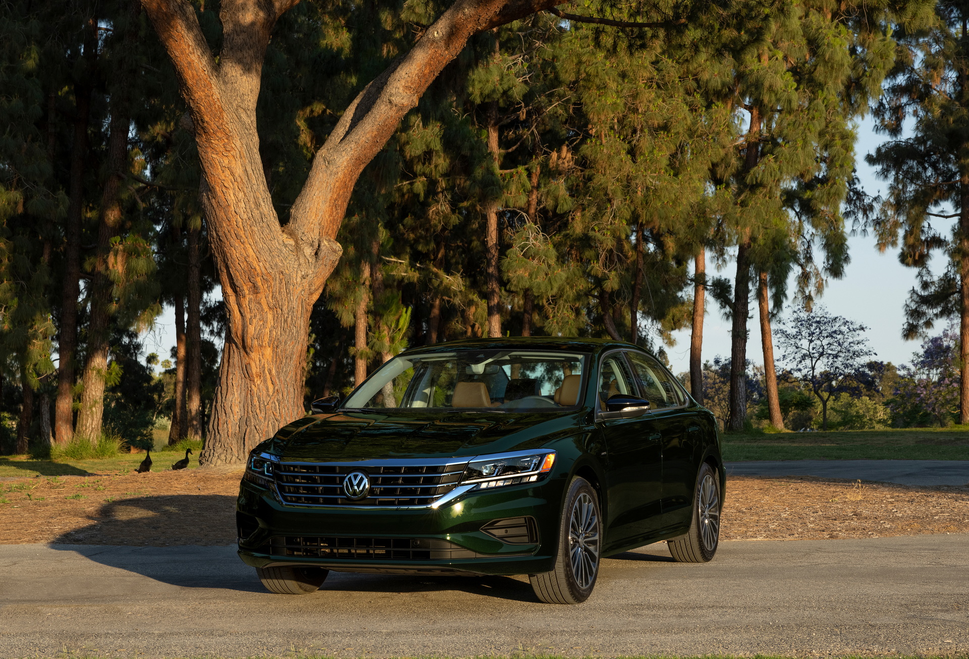 U.S. Passat To Die After 2022MY, VW Sends It Off With Limited Edition