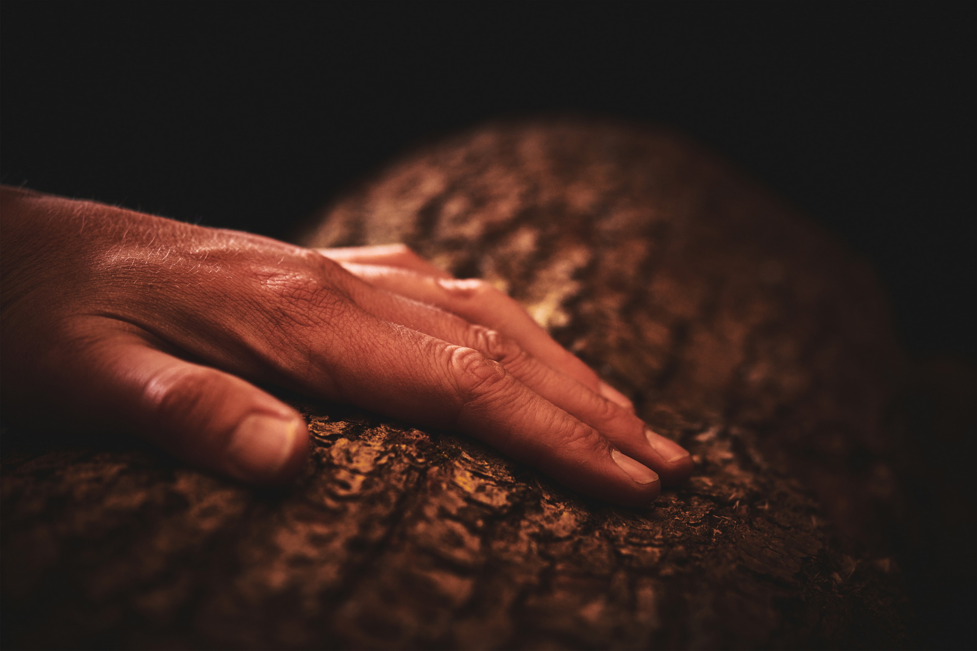 Bentley Wants To Be More Sustainable So It Turned To Scotch-Maker The Macallan For Help