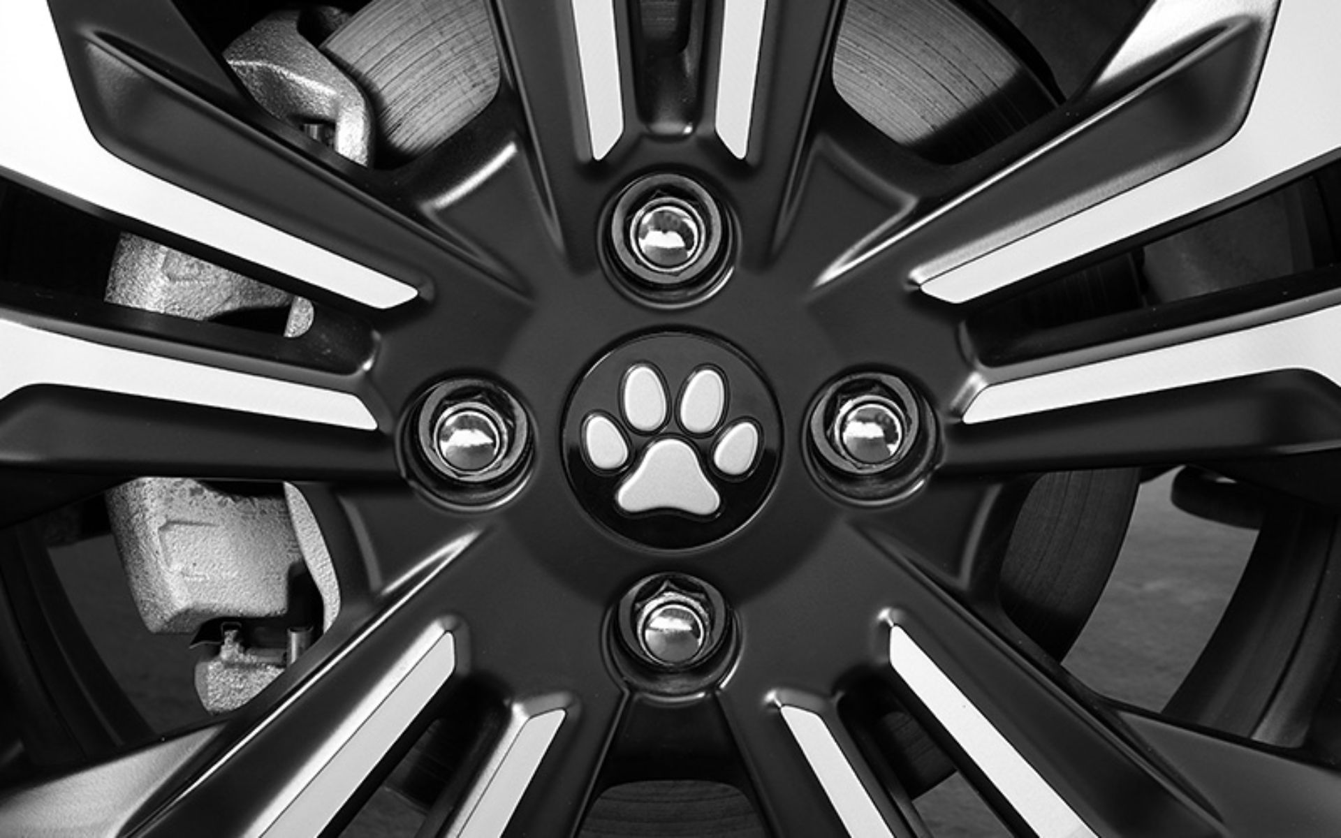 Honda Is Offering Paw-Decorated Accessories For Dog People’s Cars In Japan