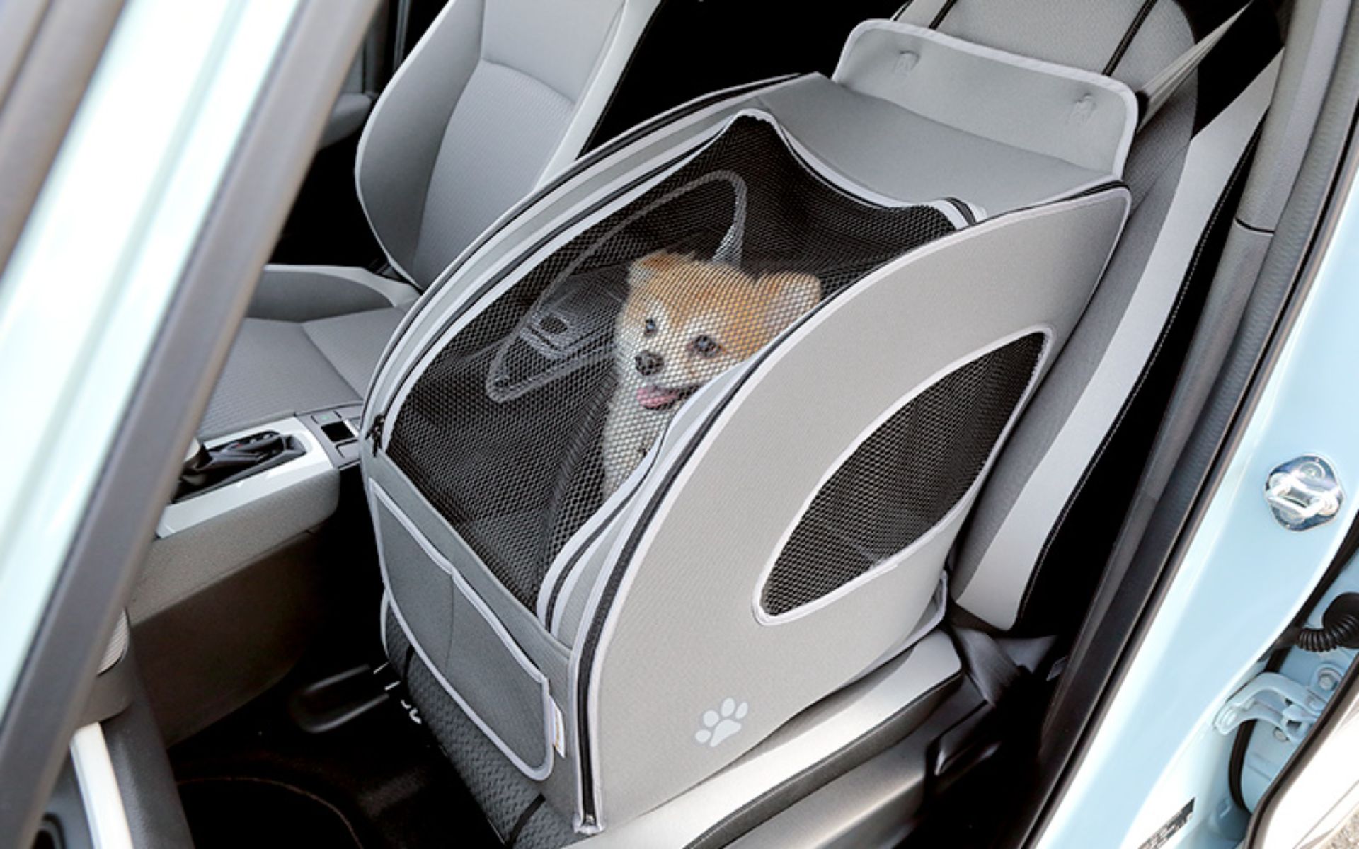 Honda Is Offering Paw-Decorated Accessories For Dog People’s Cars In Japan