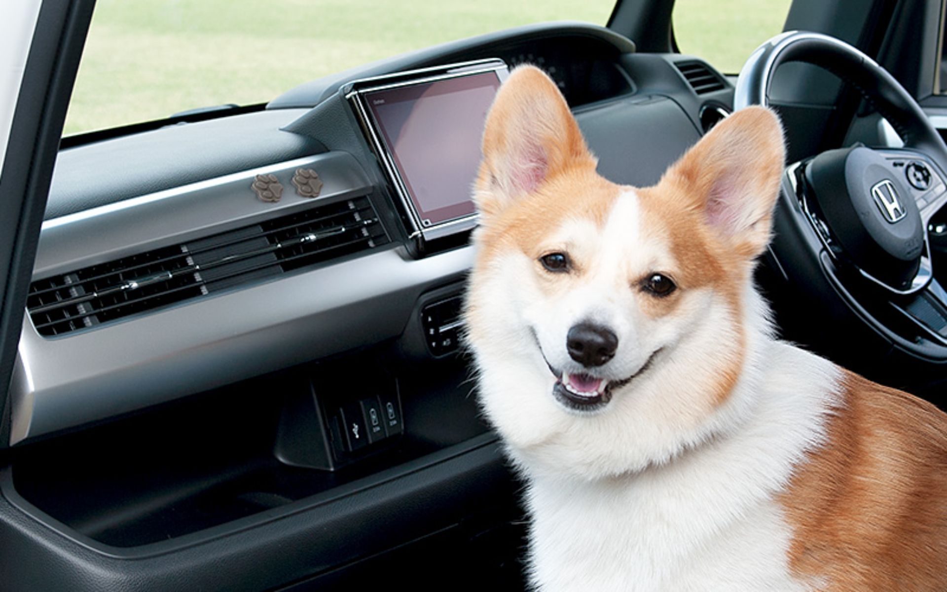 Honda Is Offering Paw-Decorated Accessories For Dog People’s Cars In Japan