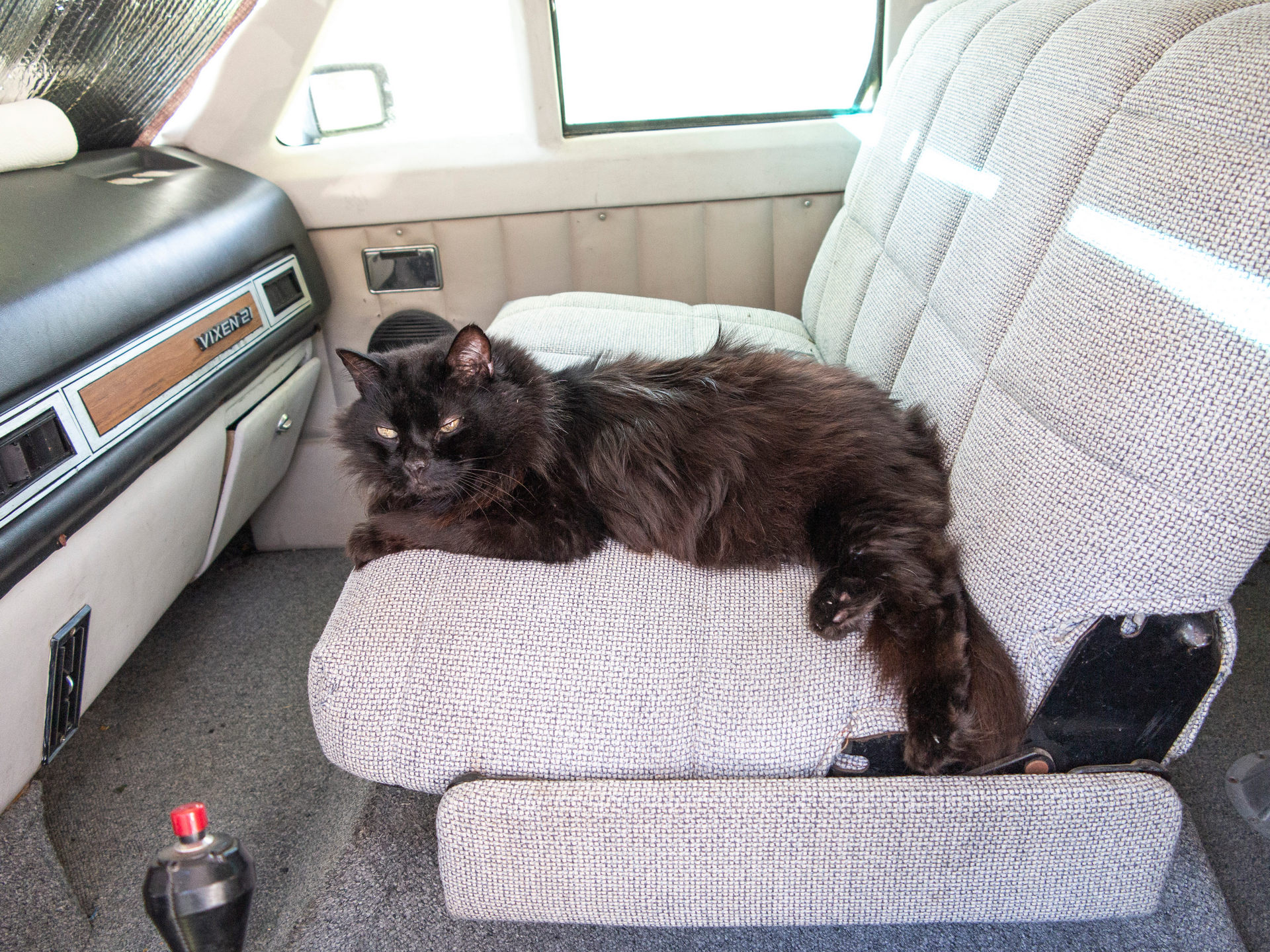 This Weird RV Is A Vixen 21 TD Powered By A BMW Straight-Six And Penned By The DeLorean’s Designer