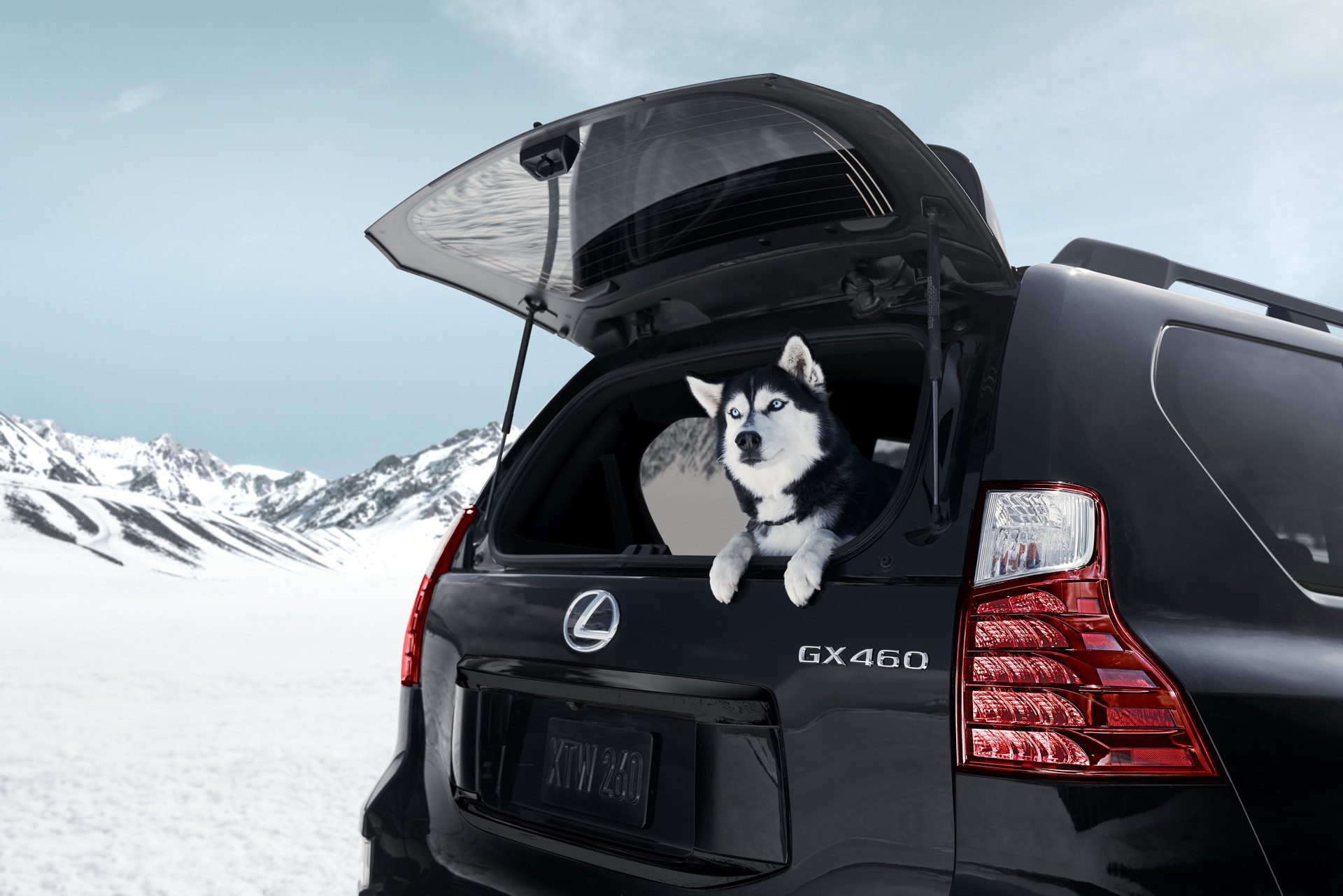 Lexus Adds Black Line Edition, New Standard Tech To The GX 460 For 2022